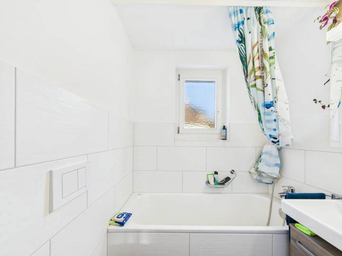 Casa singola in affitto - Foto 7 di 11