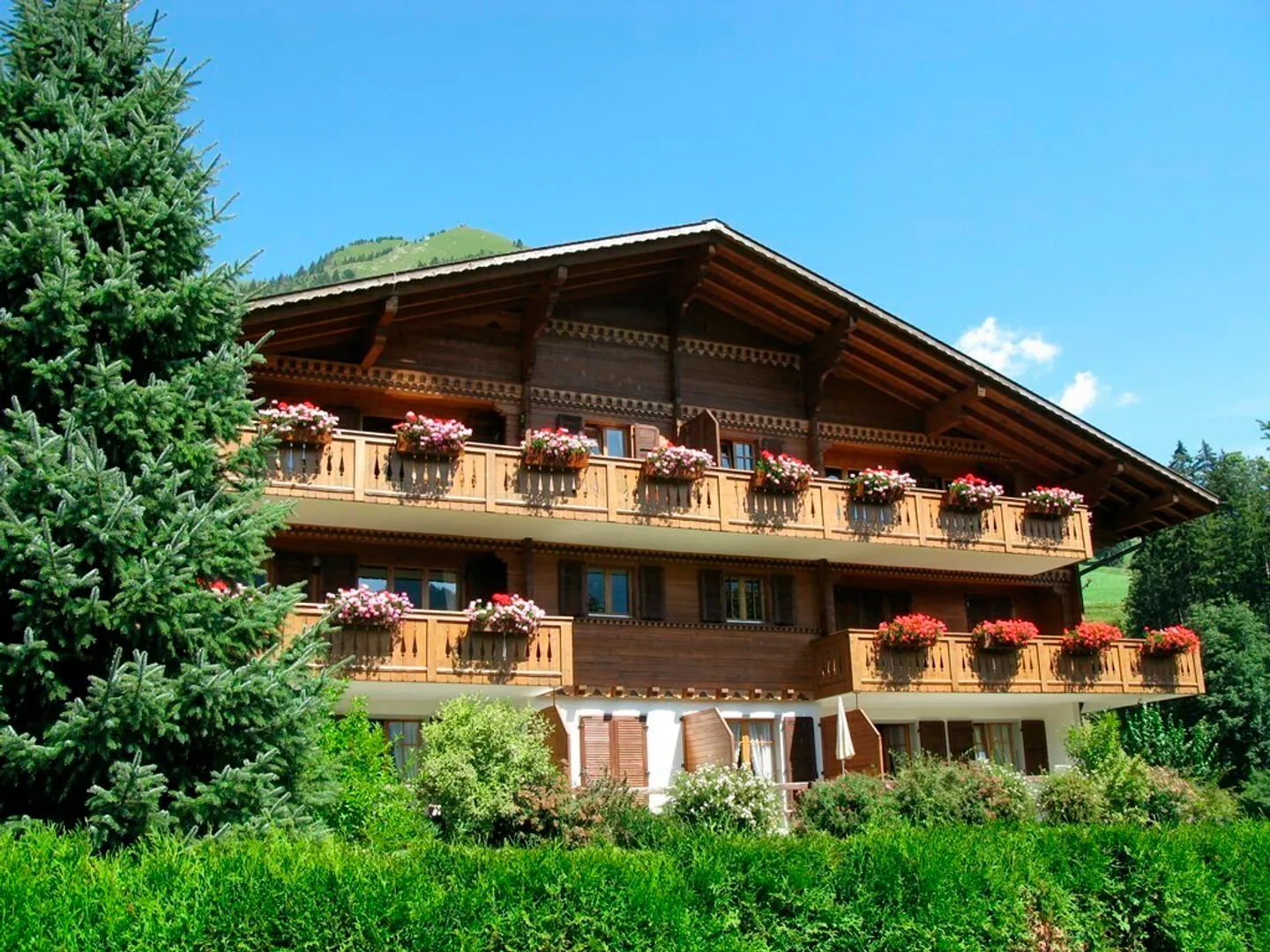 Apartment in the Attic on the Heights - Photo 1 of 11