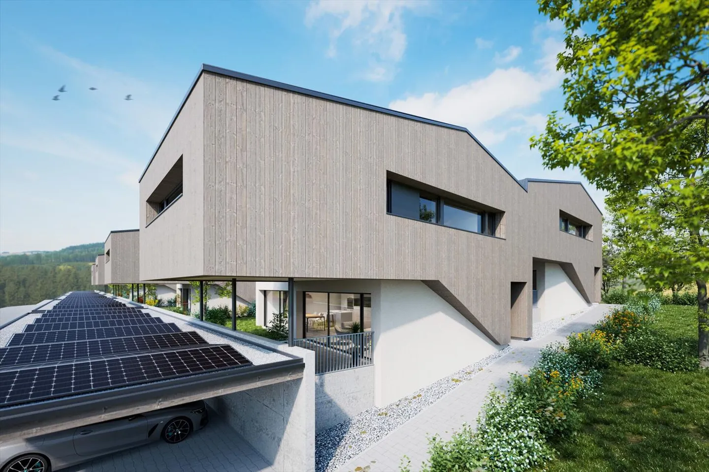 Opus Verde - Photo 3 of 13