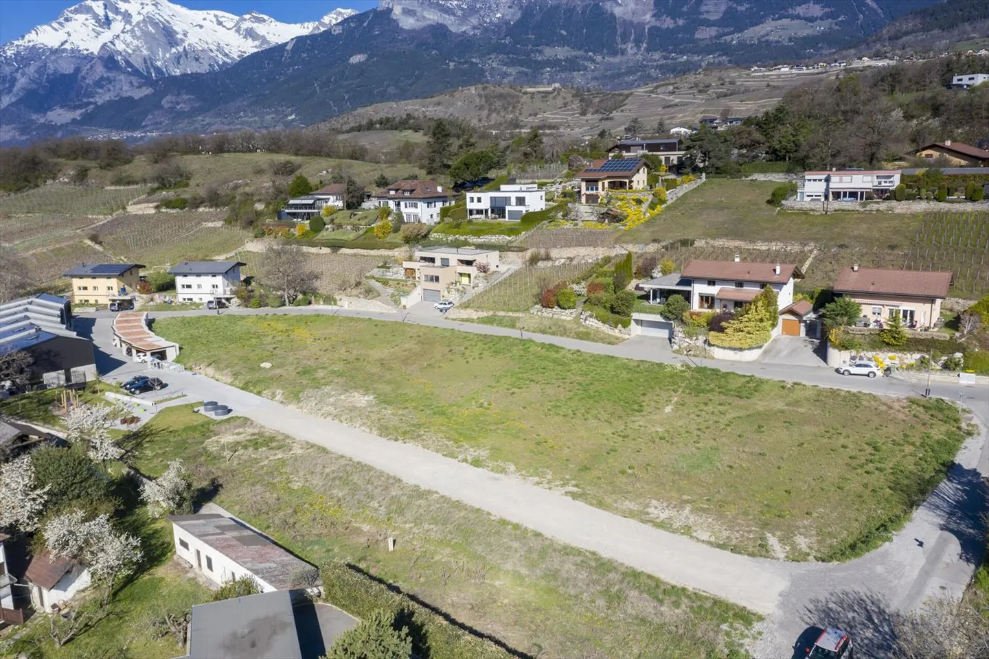 Opus Verde - Photo 9 of 13