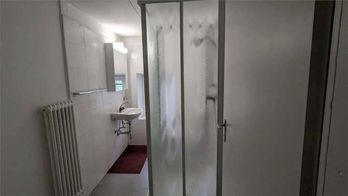 Giornico (Via San Gottardo) - 3.5 Rooms Ground Floor Semi-Furnished - Photo 5 of 7