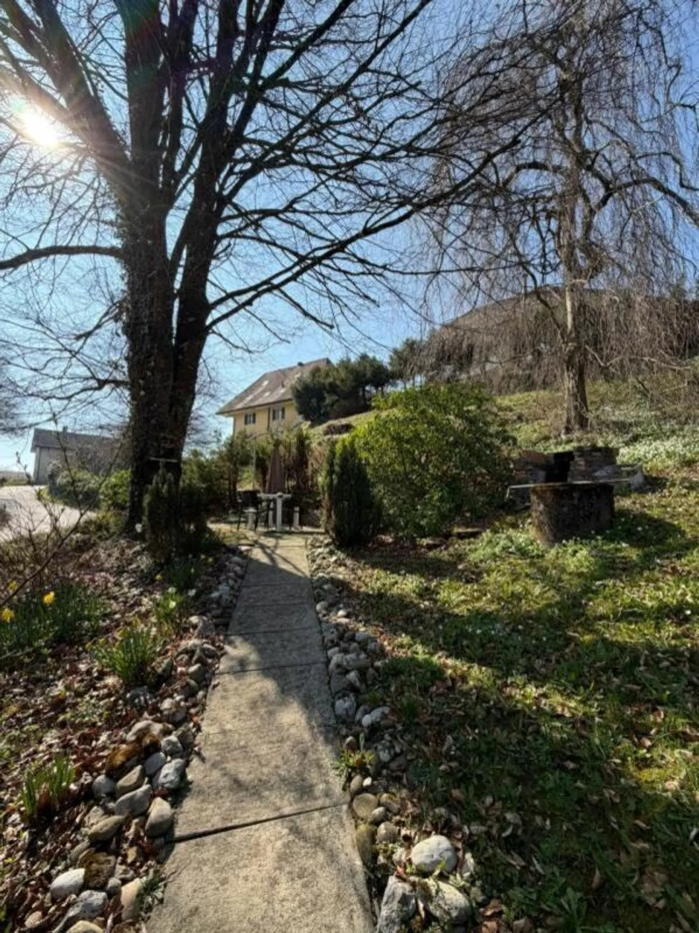 Two-family house with commercial property and building plot - Photo 7 of 15