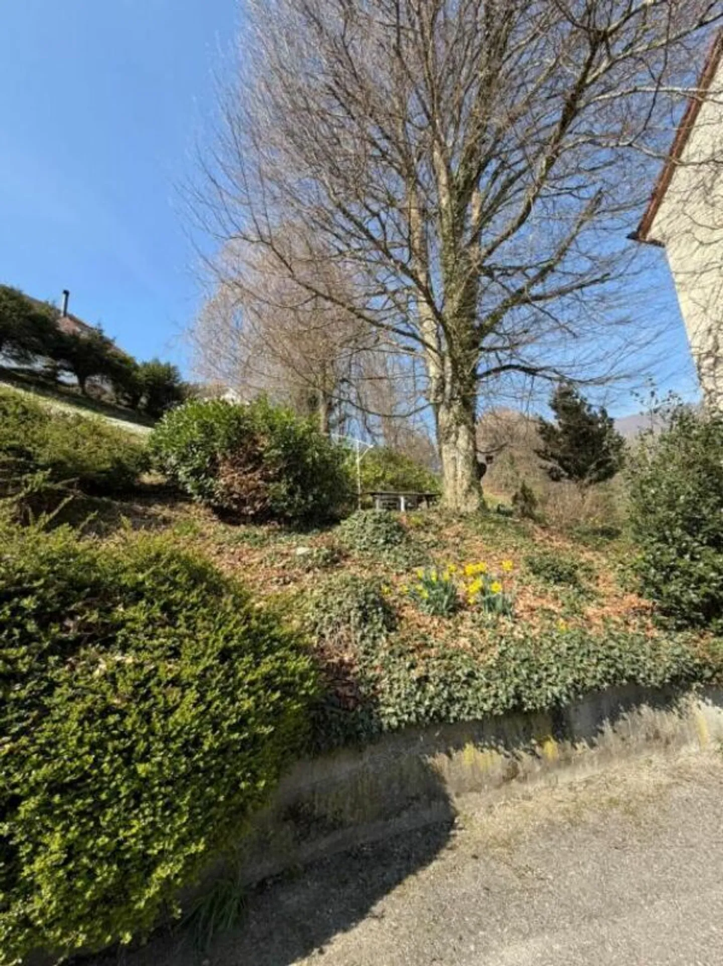 Two-family house with commercial property and building plot - Photo 11 of 15