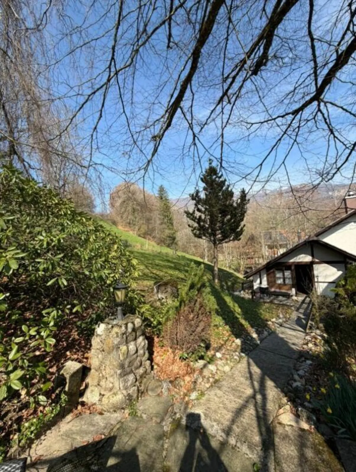 Two-family house with commercial property and building plot - Photo 12 of 15