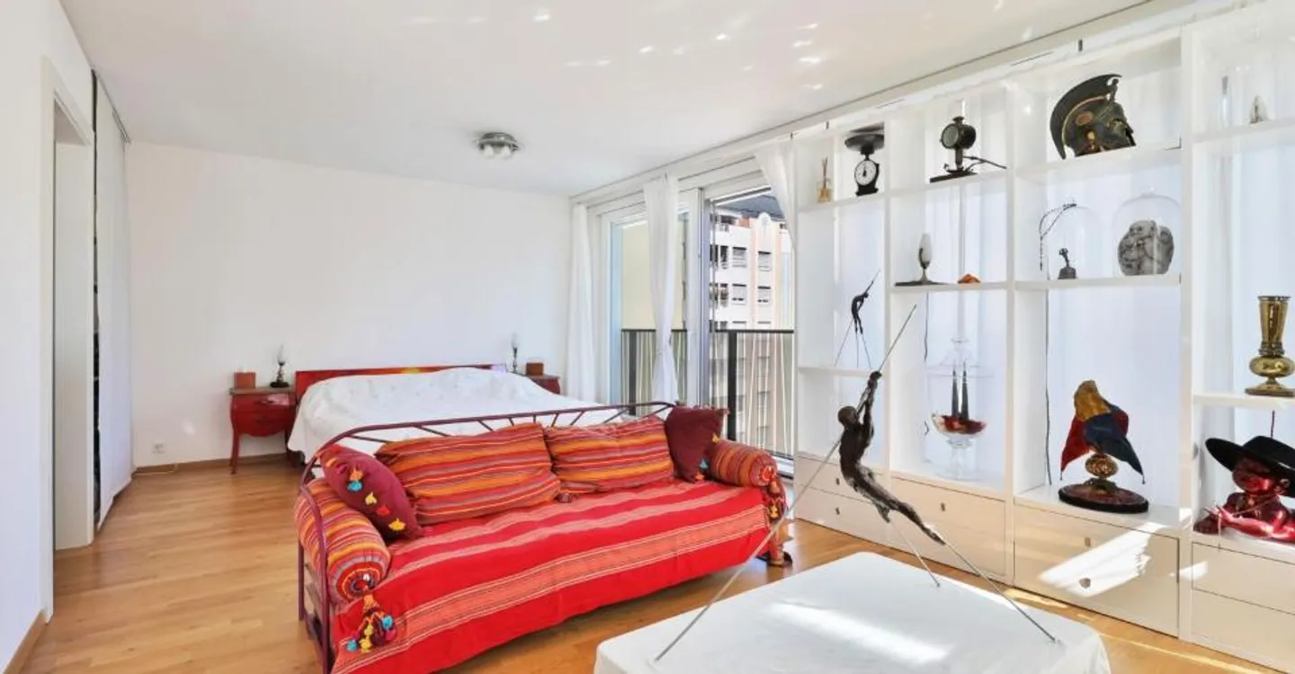 Rare apartment for sale in Carouge - Exceptional location, high-end features - Photo 5 of 12