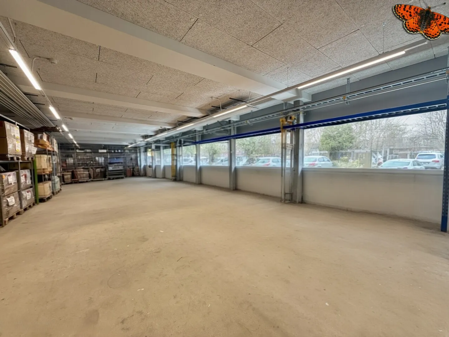 Espace Commercial à Givisiez - Photo 11 sur 18