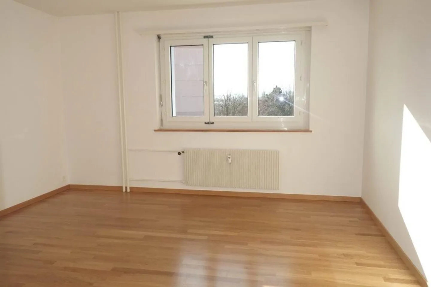 Appartamento soleggiato di 4,5 stanze con vista su Weinfelden - Foto 4 di 5