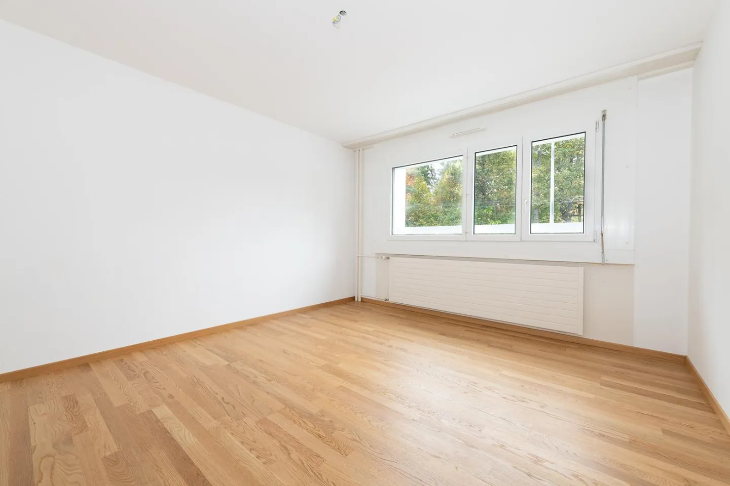 Rental with free deposit - Photo 4 of 6