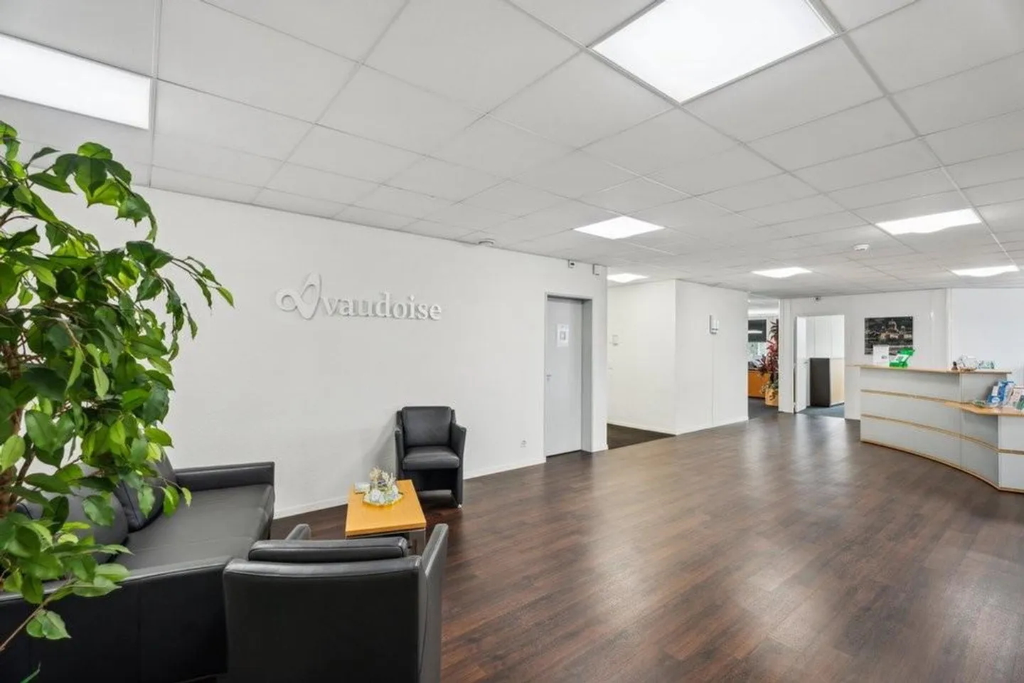 Bureaux Spacieux - Photo 4 sur 12