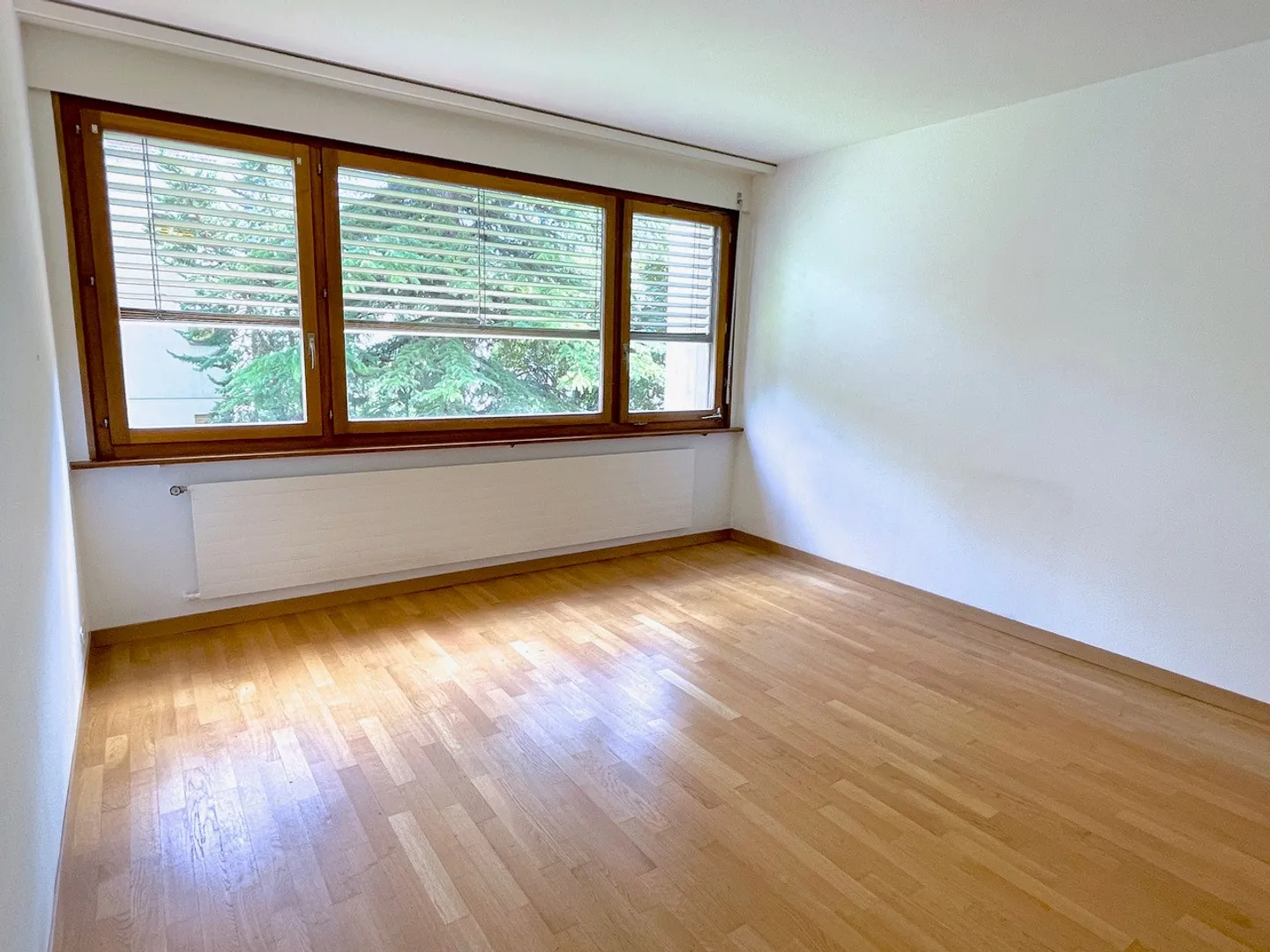 3.5 Room Apartment - Photo 8 of 13