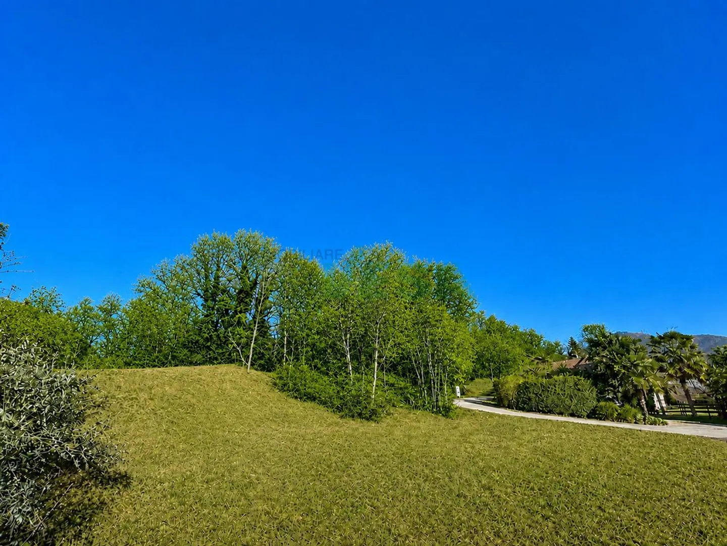 Terreno edificabile in natura - Foto 1 di 5