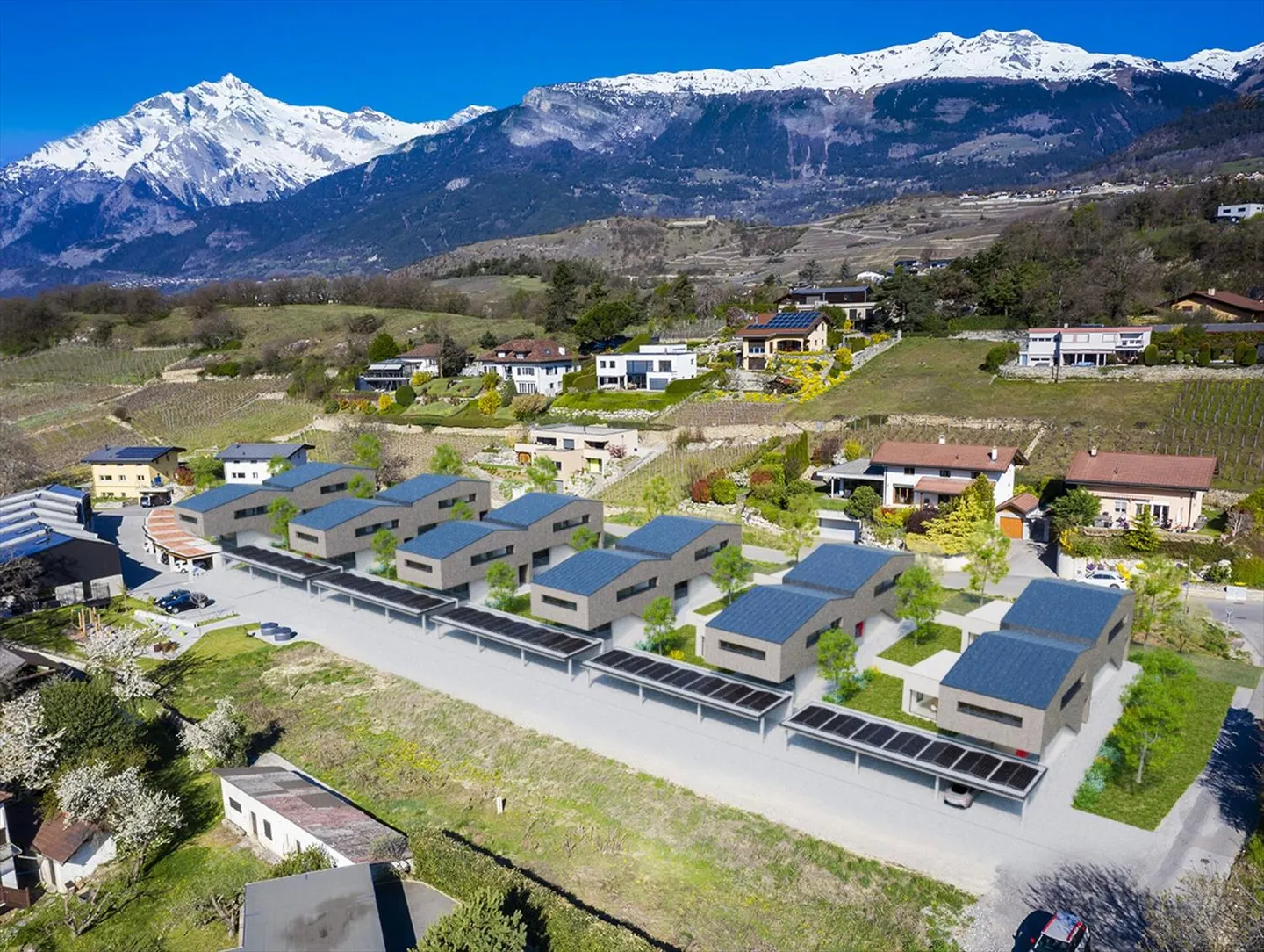 Opus Verde - Photo 6 of 7