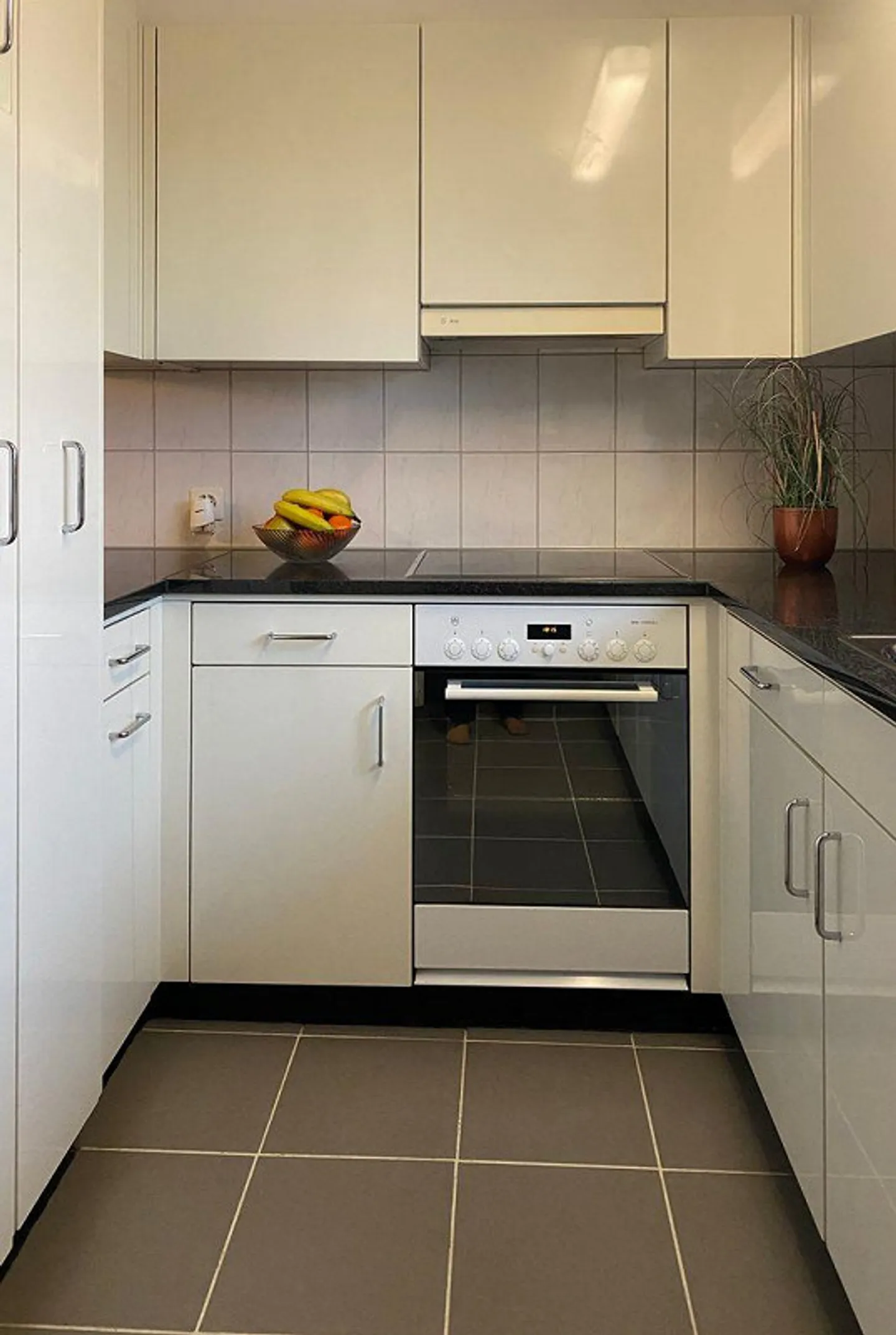 Appartement 4.5 pièces - Photo 3 sur 12