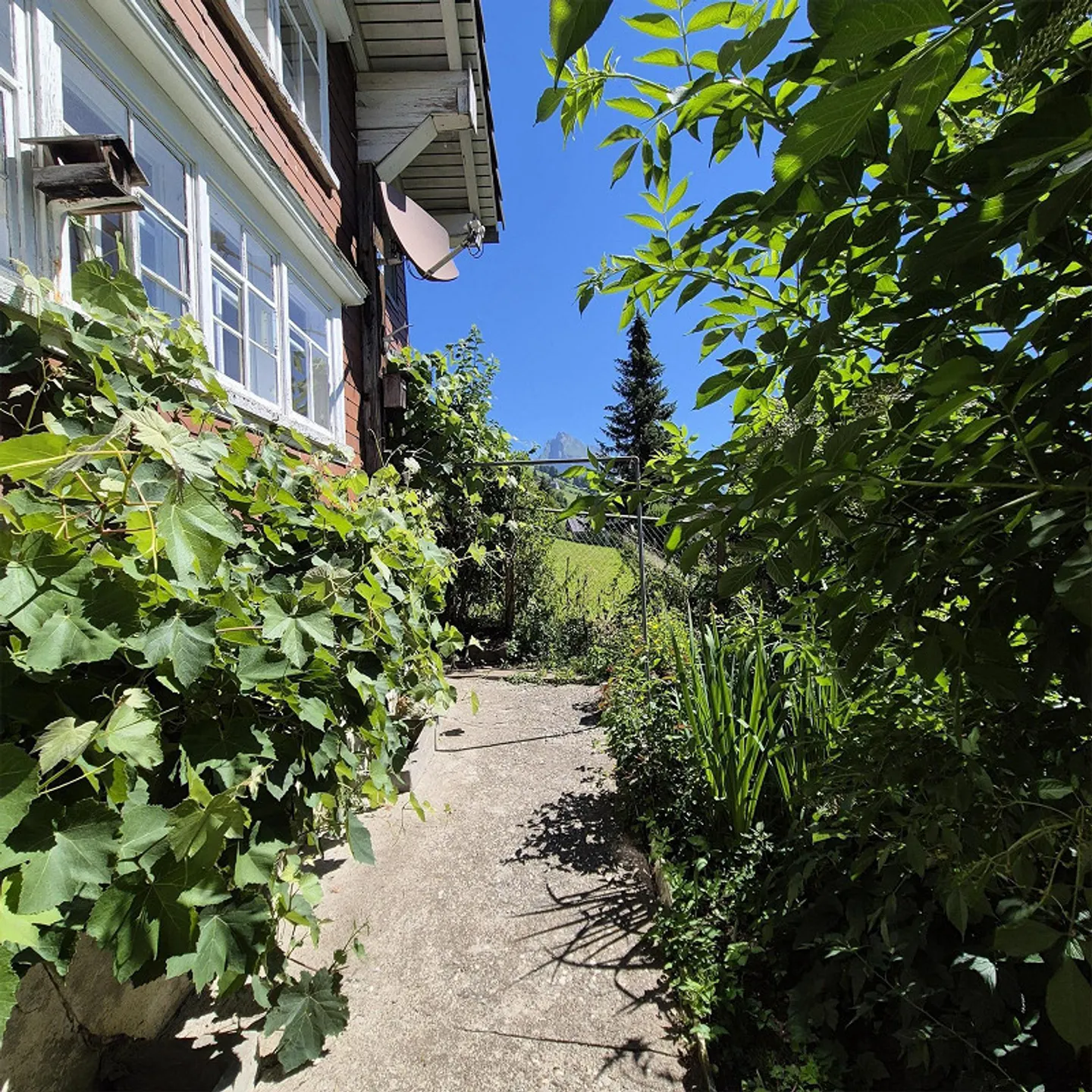 Wohnhaus mit freistehender Doppelgarage und Gartenanlage - Foto 21 di 26