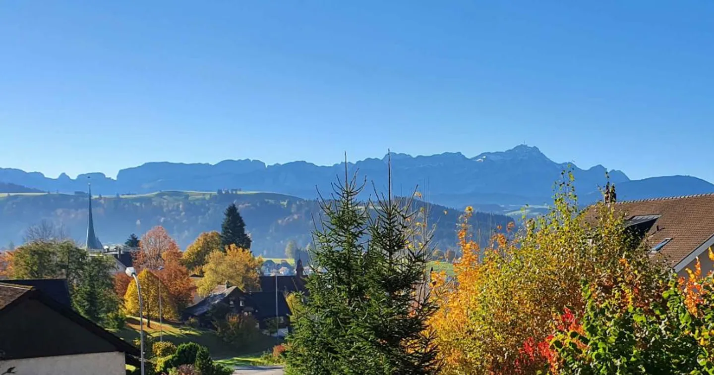 7 ½ Room Single-Family Home in a Prime Location with Renovation Project - Photo 2 of 5