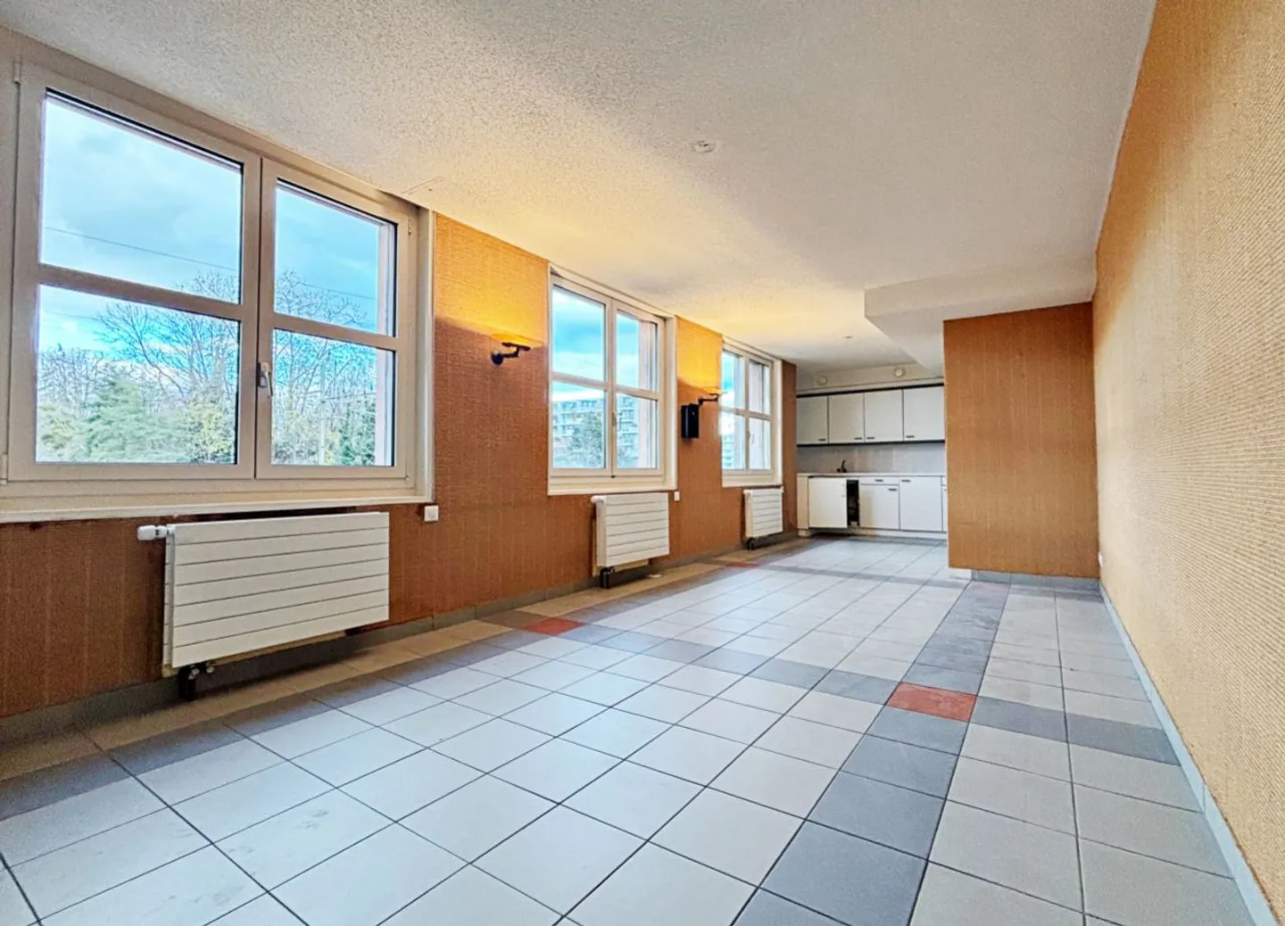 Magnificent Office Space in the Center of Nyon - Photo 6 of 12