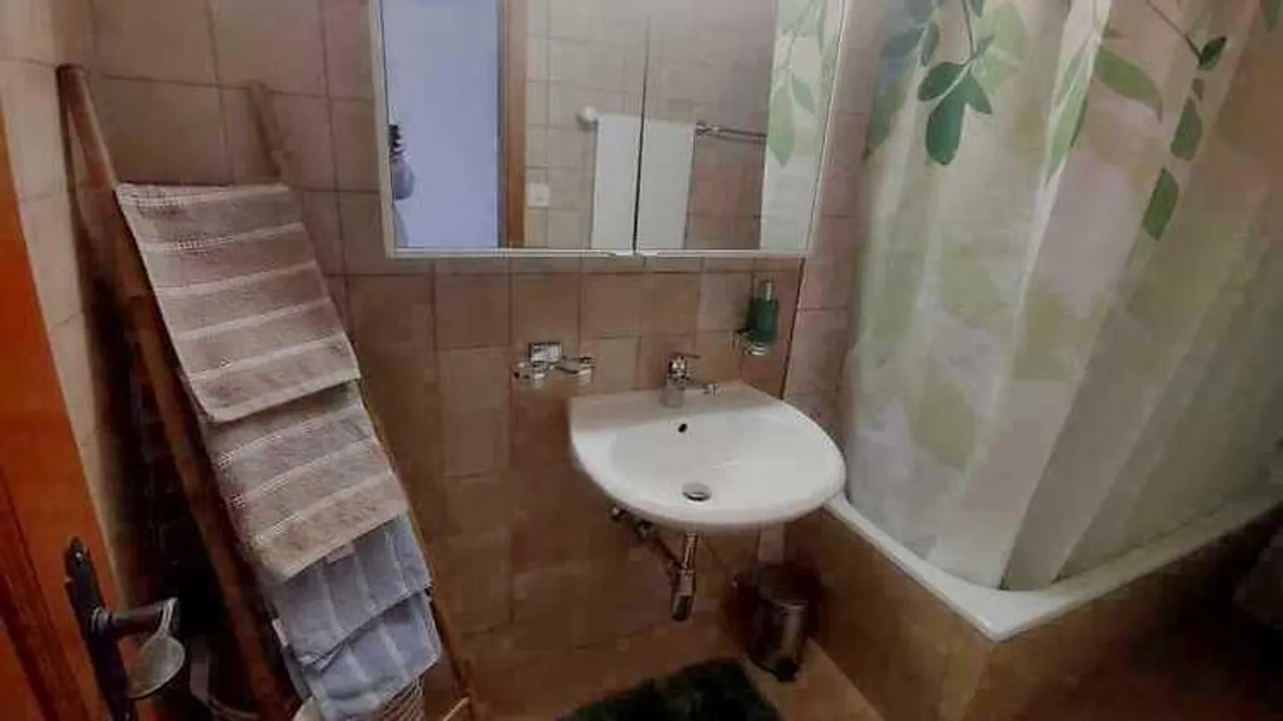 APPARTAMENTO 3 LOCALI A KIRCHLINDACH (BE), ARREDATO, TEMPORANEO - Foto 5 di 8