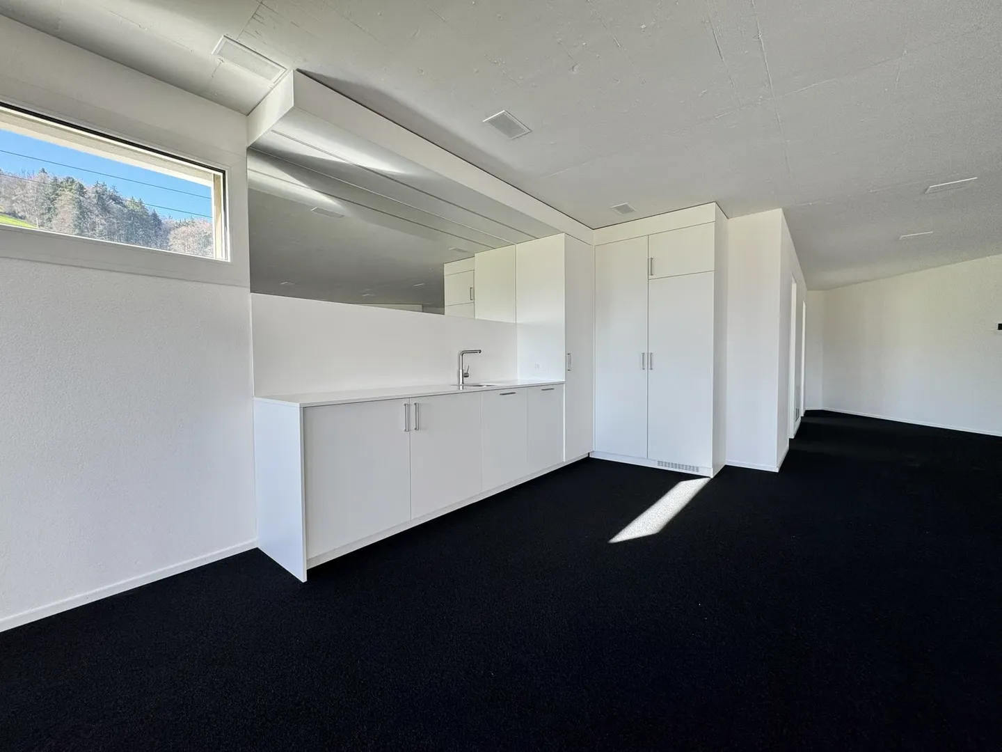 Space for Success – 125 m² Business Area in Pfäffikon SZ - Photo 4 of 5