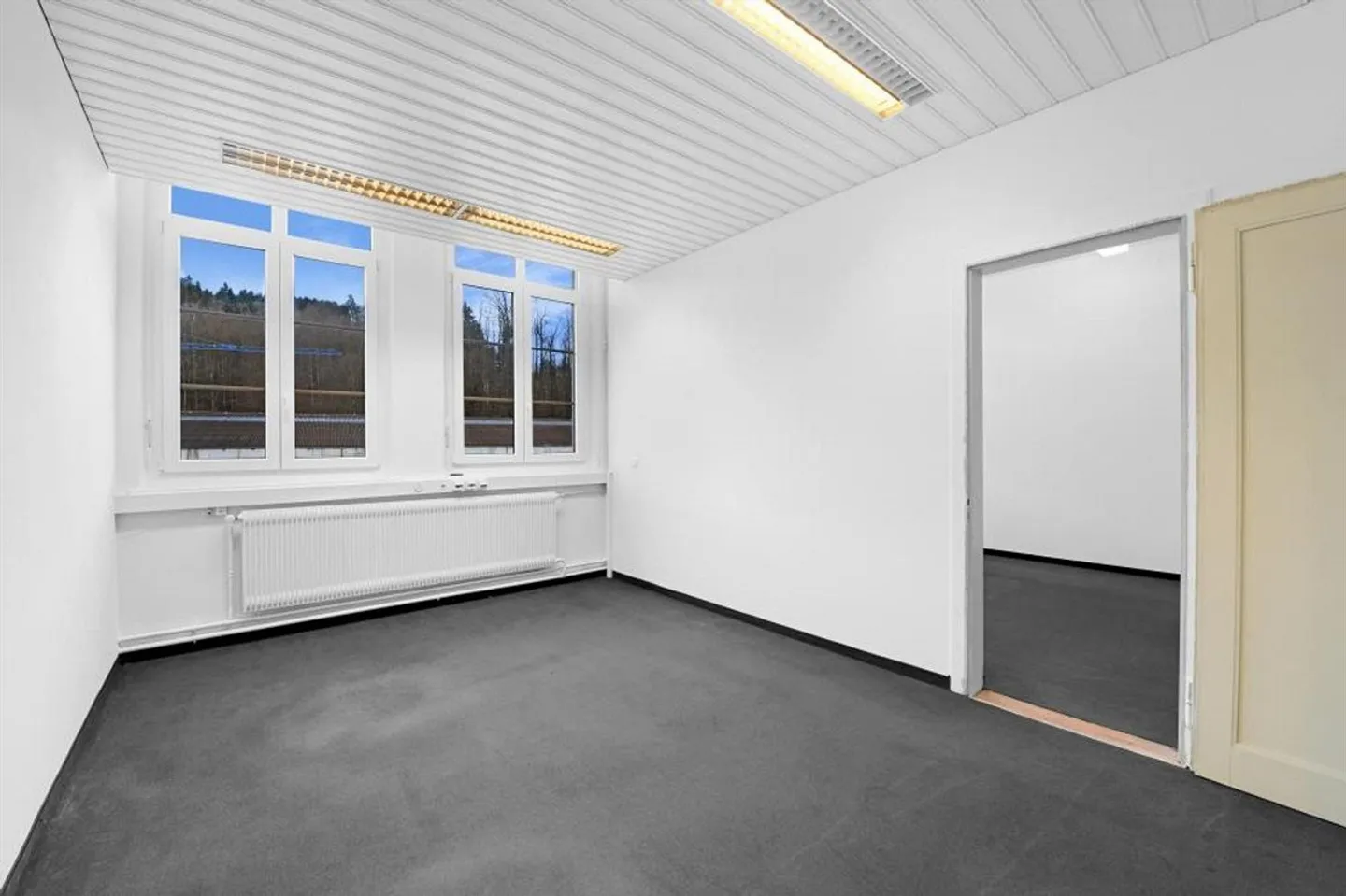 Entrepreneurial Perspectives for Office Use, Storage Space, Practice, Studio in Bischoffszell - Photo 5 of 13