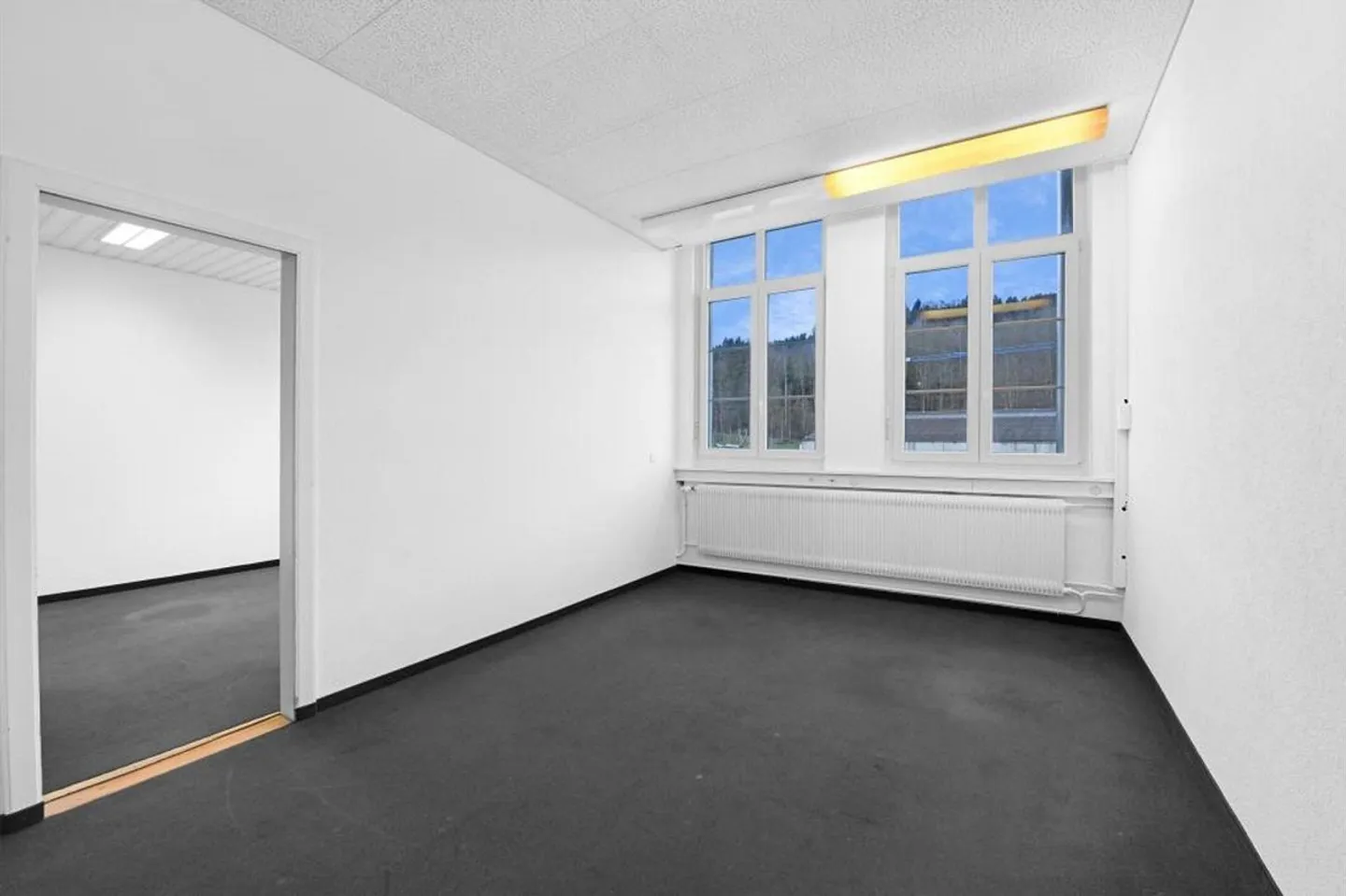 Entrepreneurial Perspectives for Office Use, Storage Space, Practice, Studio in Bischoffszell - Photo 8 of 13