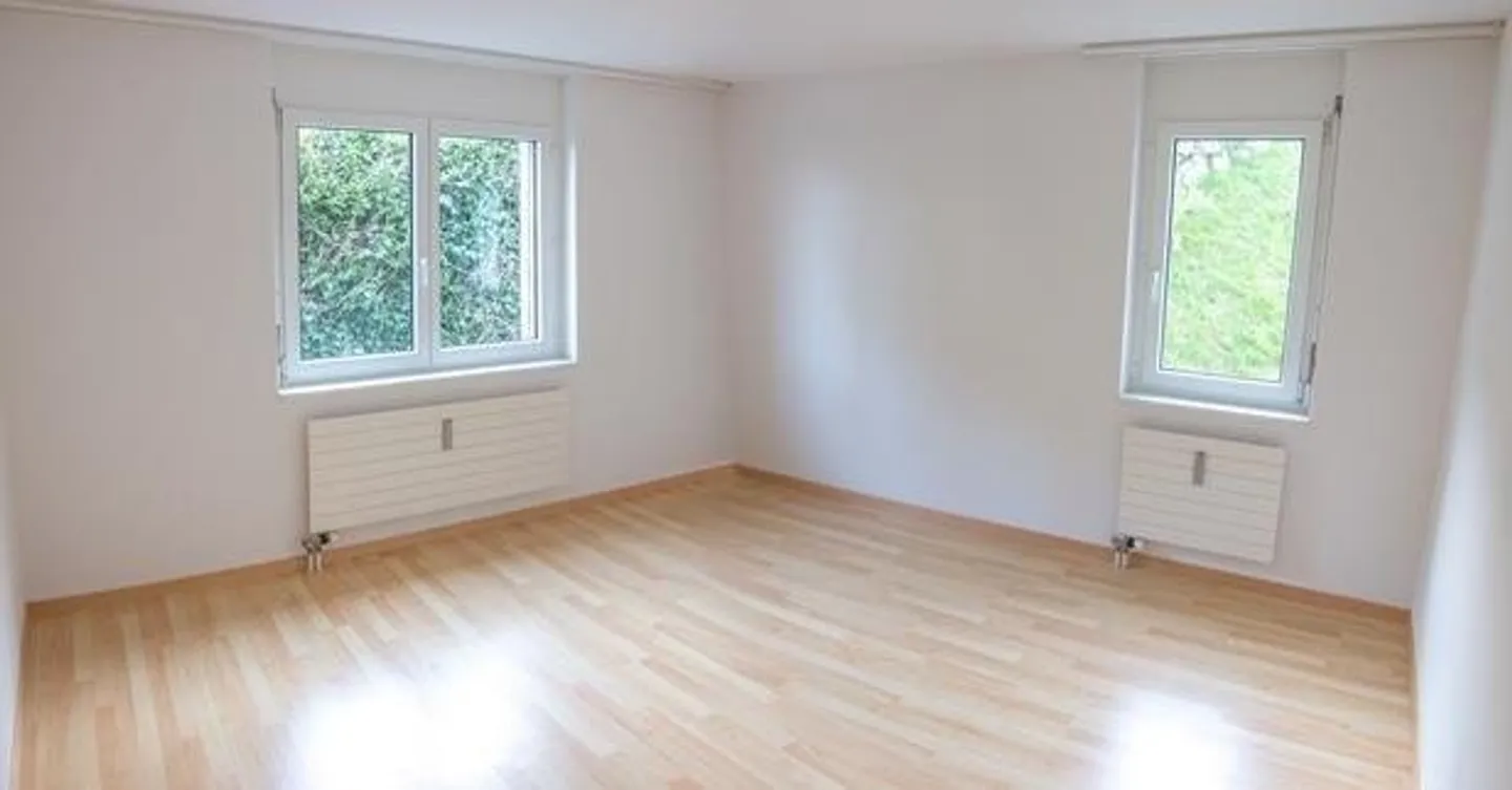 Appartamento 2.5 camere affascinante - Foto 3 di 7