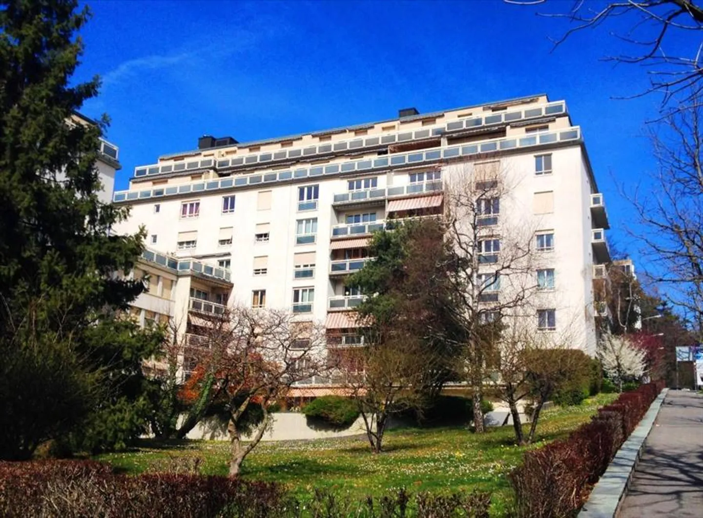 Denken Sie an das Wohlbefinden Ihres Motorrads/Scooters - Foto 1 von 1