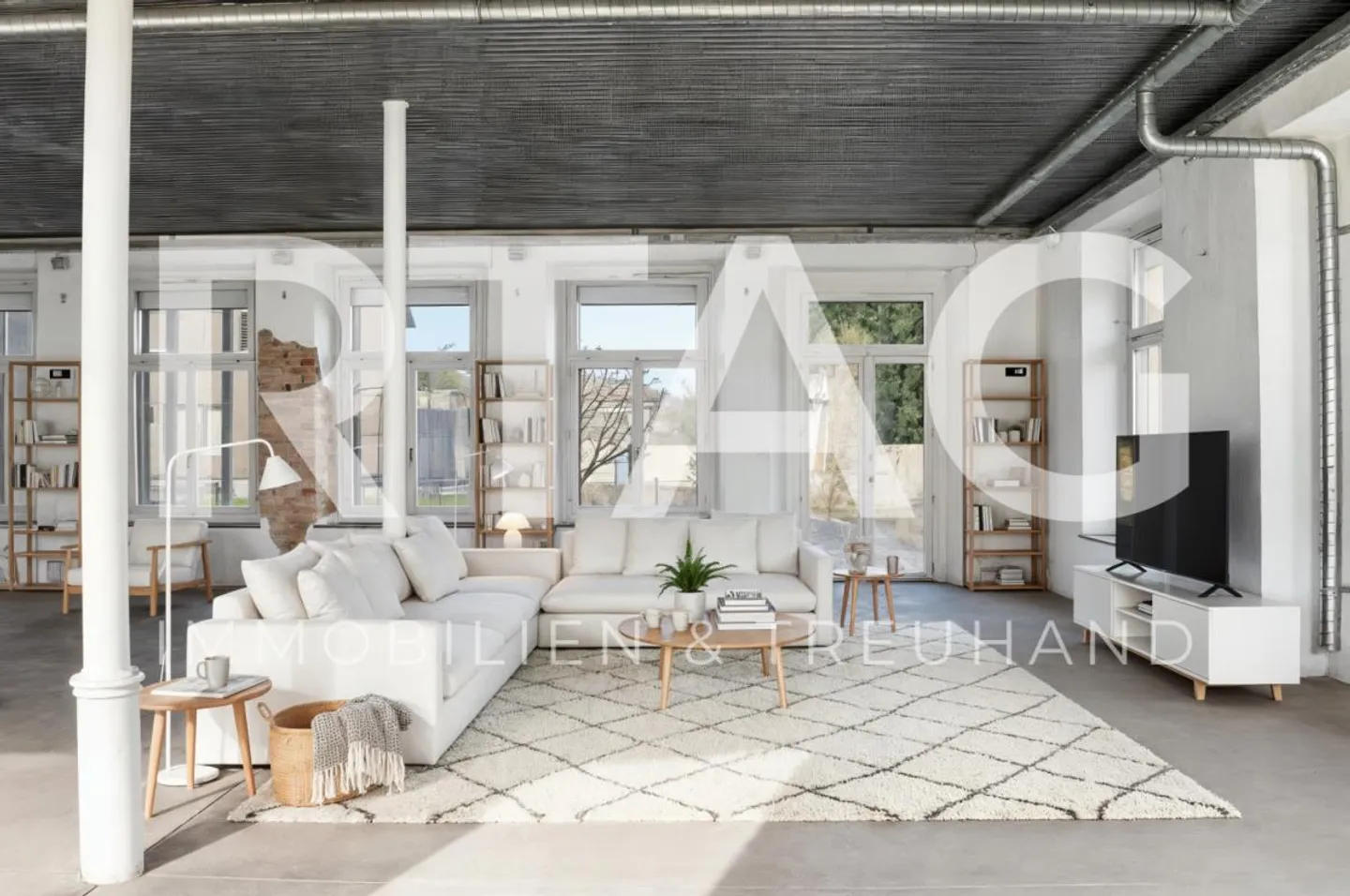 Appartement en loft - Photo 1 sur 10