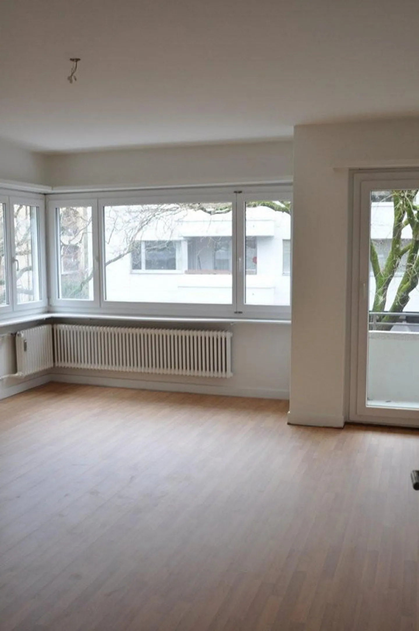 Apartment seeks single - Photo 2 of 4