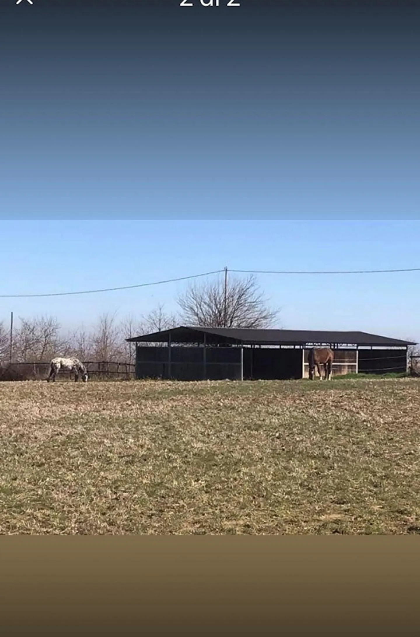 Azienda Equestre - Foto 3 di 9