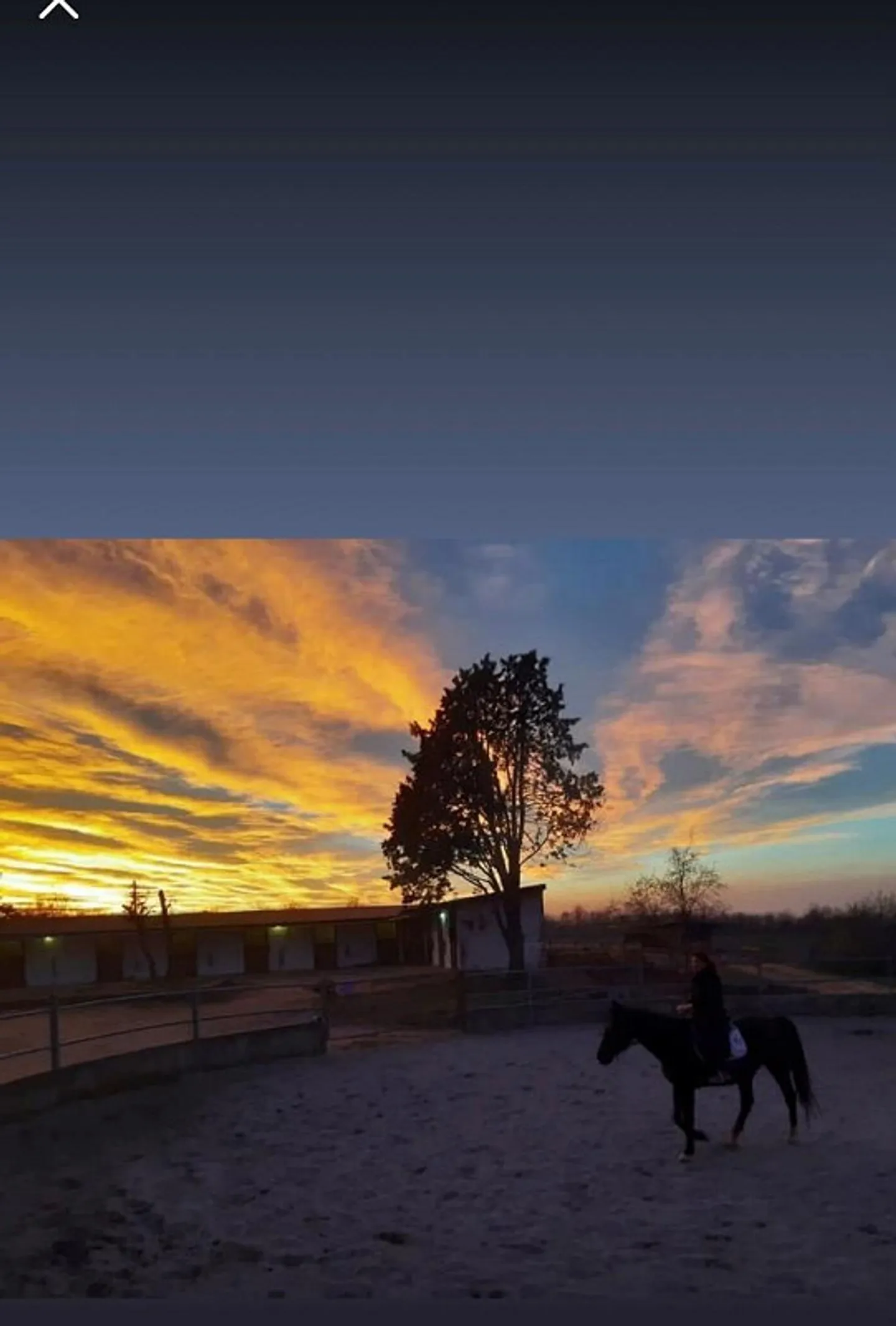 Azienda Equestre - Foto 7 di 9