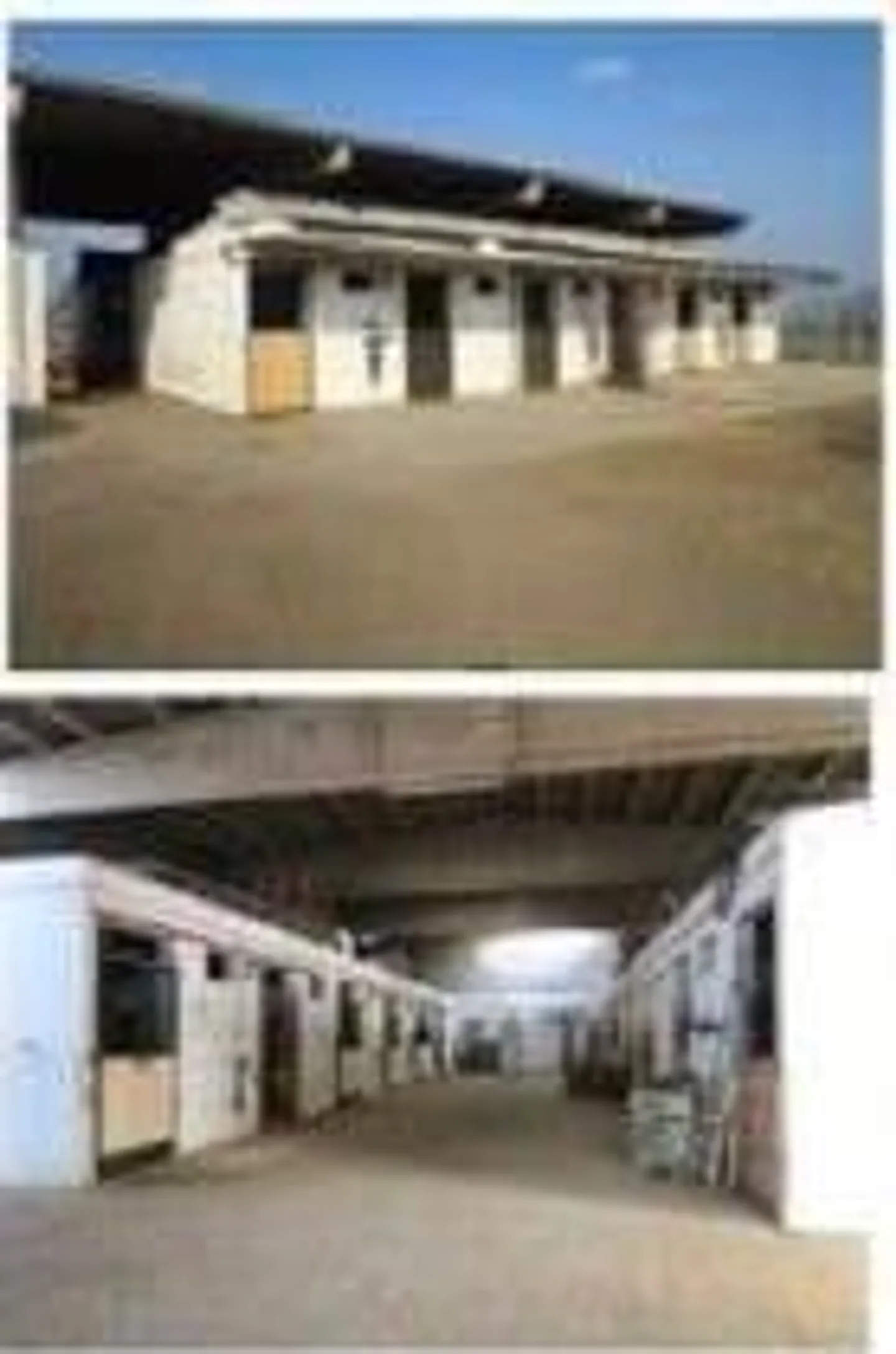 Azienda Equestre - Foto 9 di 9