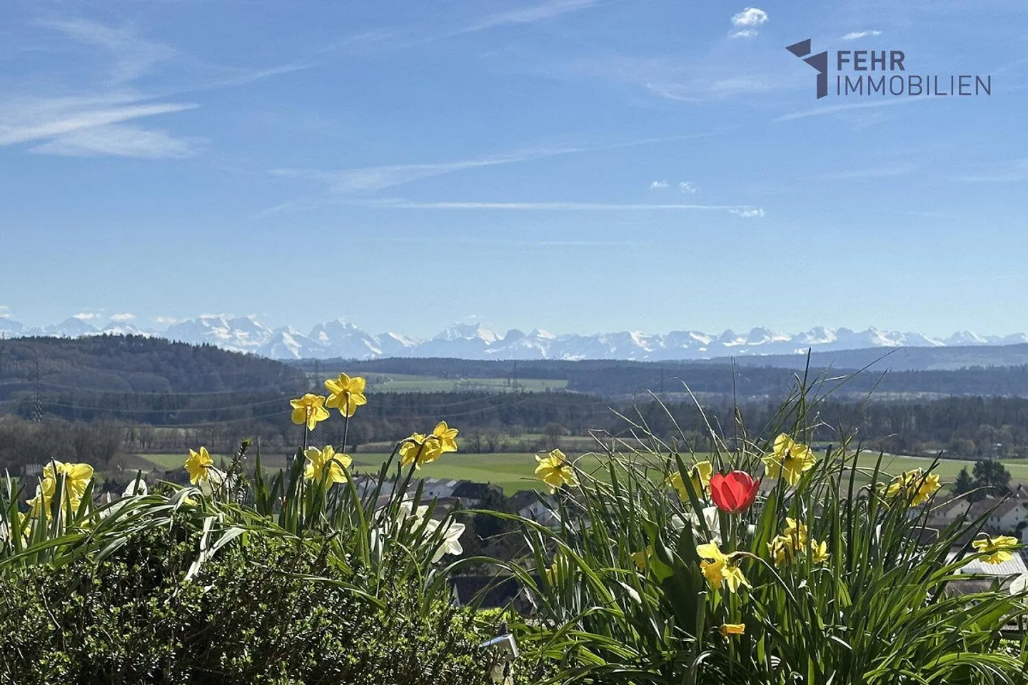 Fehr Immobilier - Maison de Terrasse 5.5 pièces avec vue magnifique - Photo 1 sur 14