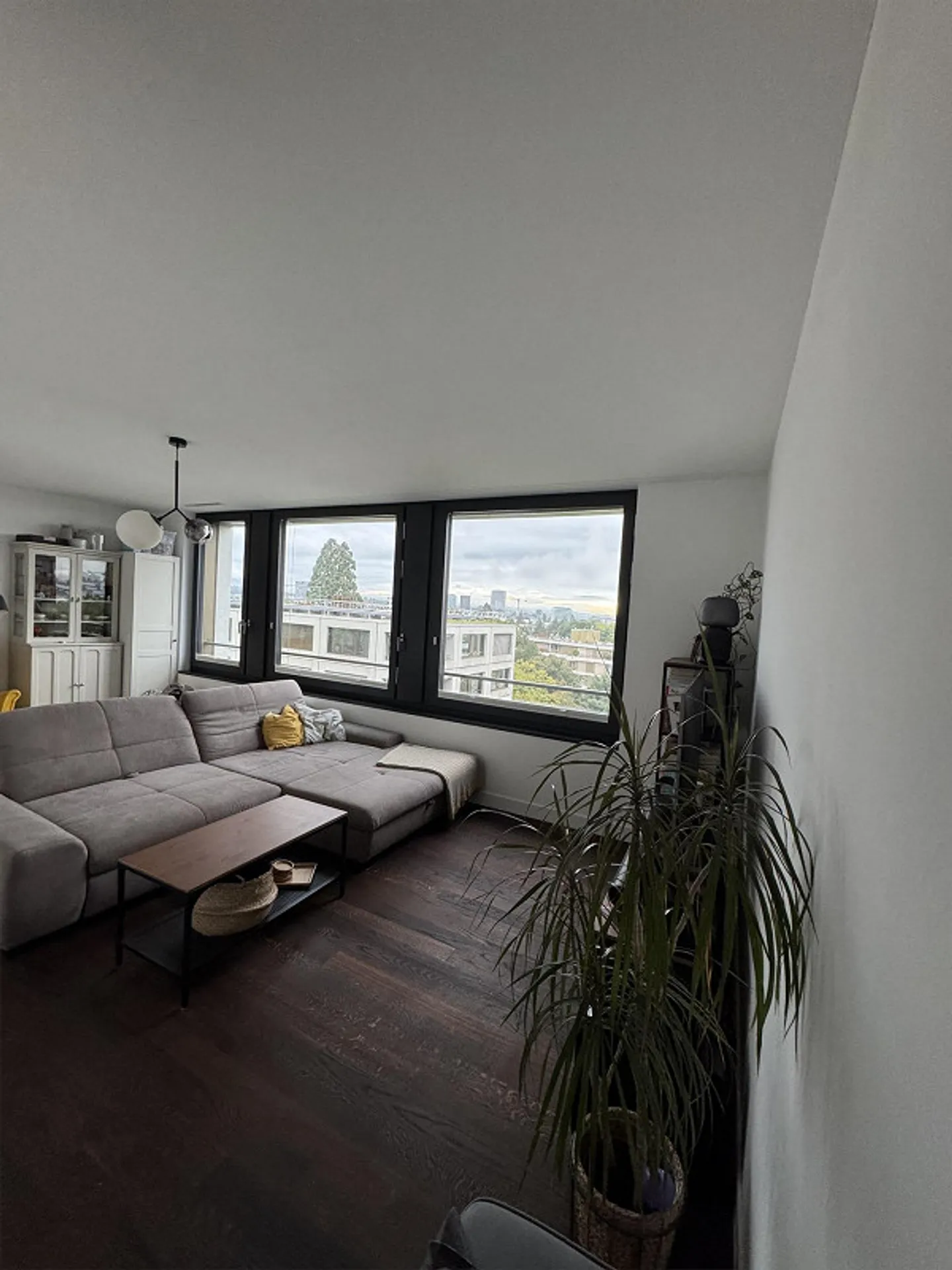 3.5 stanze con vista mozzafiato su Basilea, subaffitto per 6 mesi - Foto 1 di 21