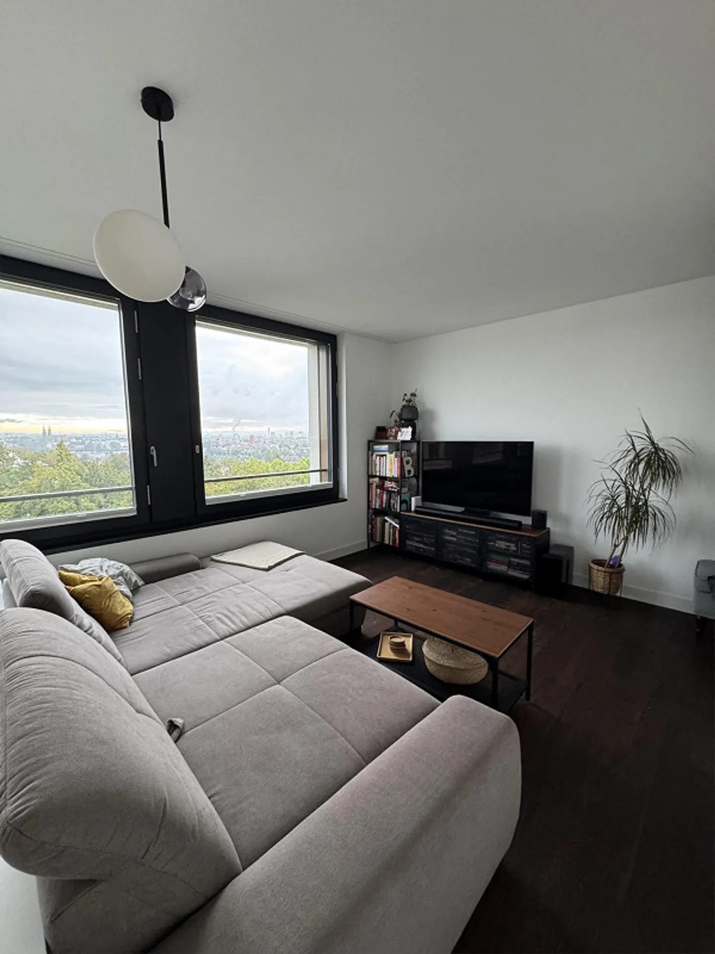 3.5 stanze con vista mozzafiato su Basilea, subaffitto per 6 mesi - Foto 2 di 21