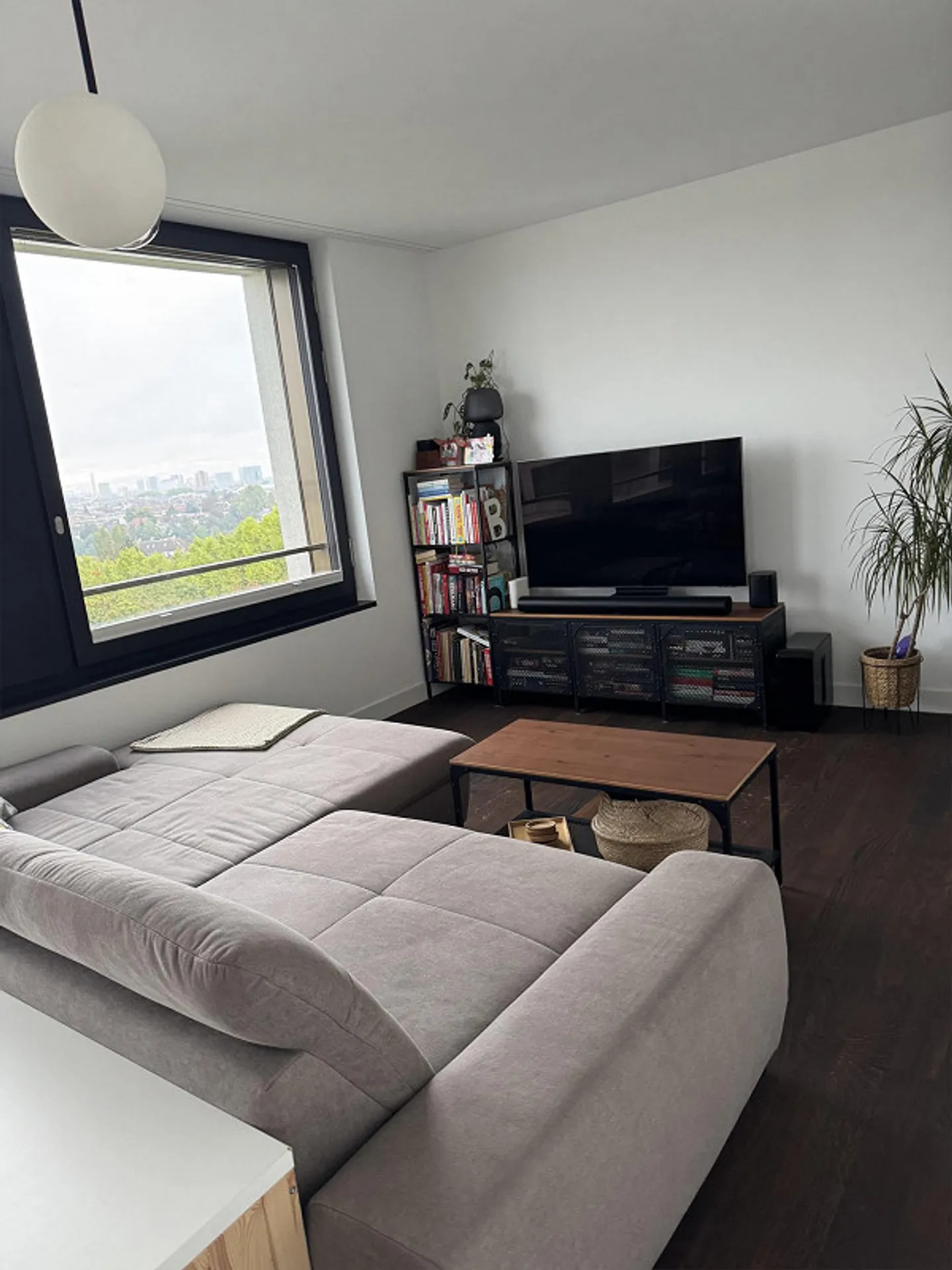 3.5 stanze con vista mozzafiato su Basilea, subaffitto per 6 mesi - Foto 3 di 21