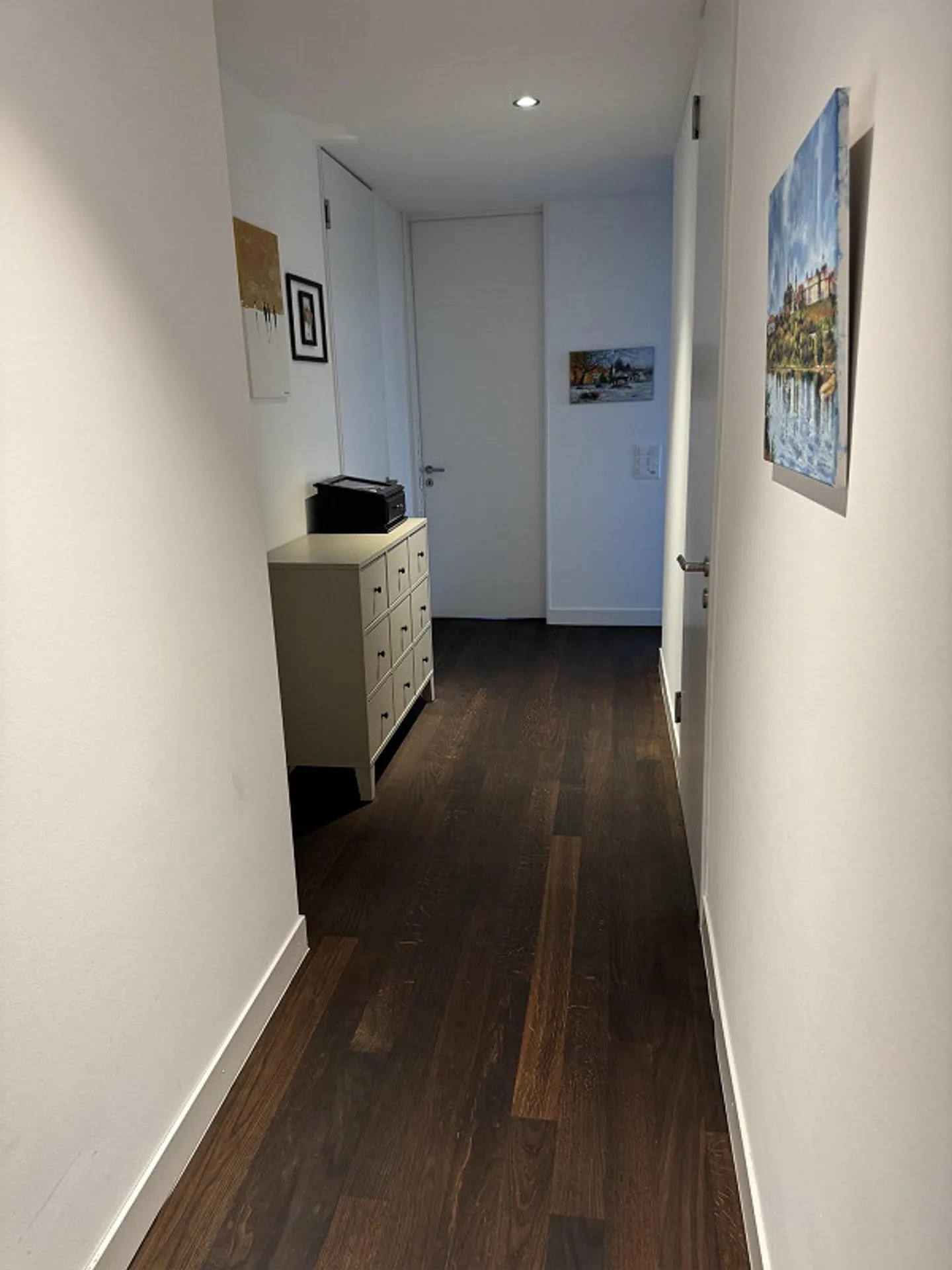 3.5 stanze con vista mozzafiato su Basilea, subaffitto per 6 mesi - Foto 5 di 21