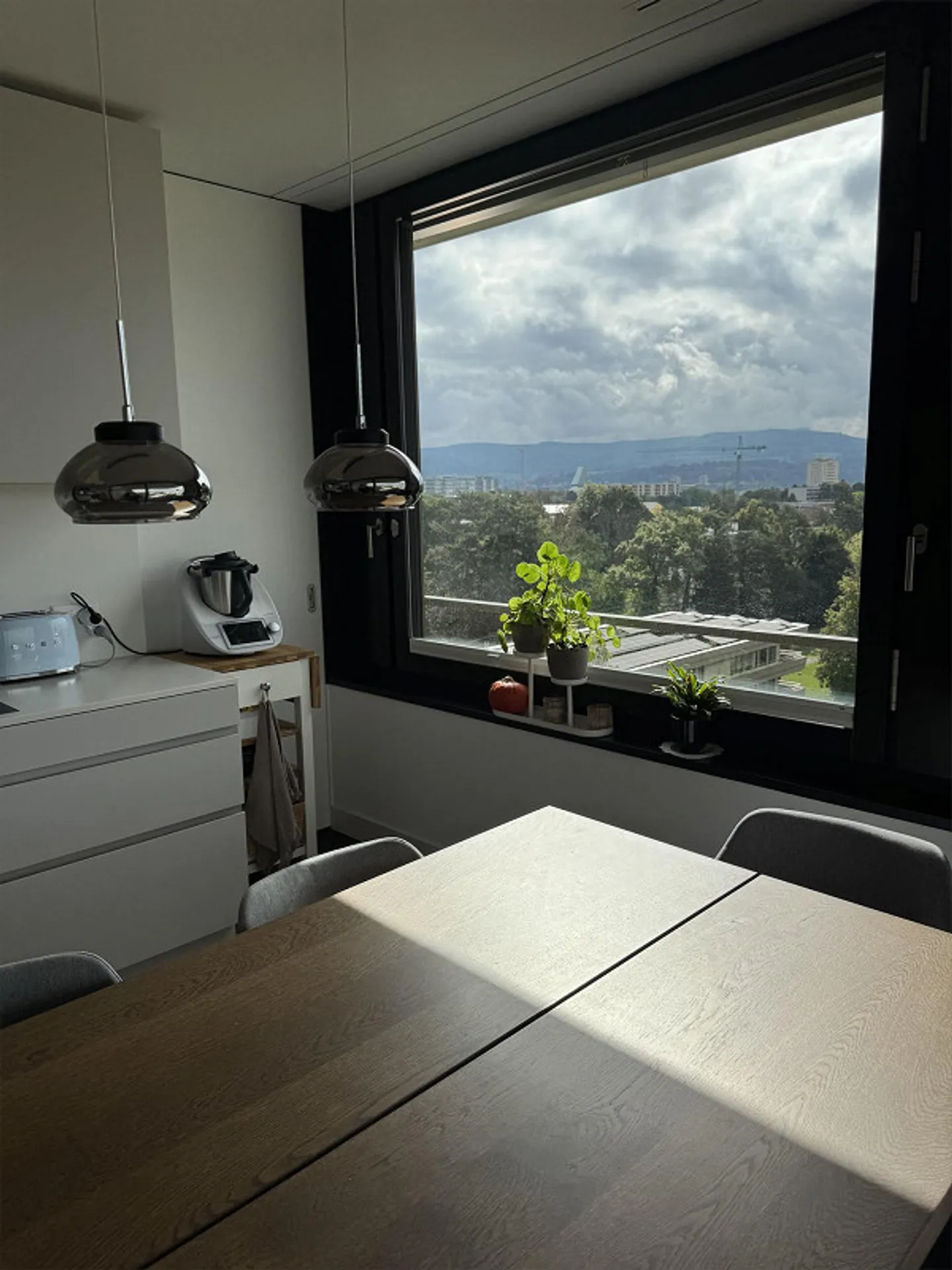 3.5 stanze con vista mozzafiato su Basilea, subaffitto per 6 mesi - Foto 12 di 21
