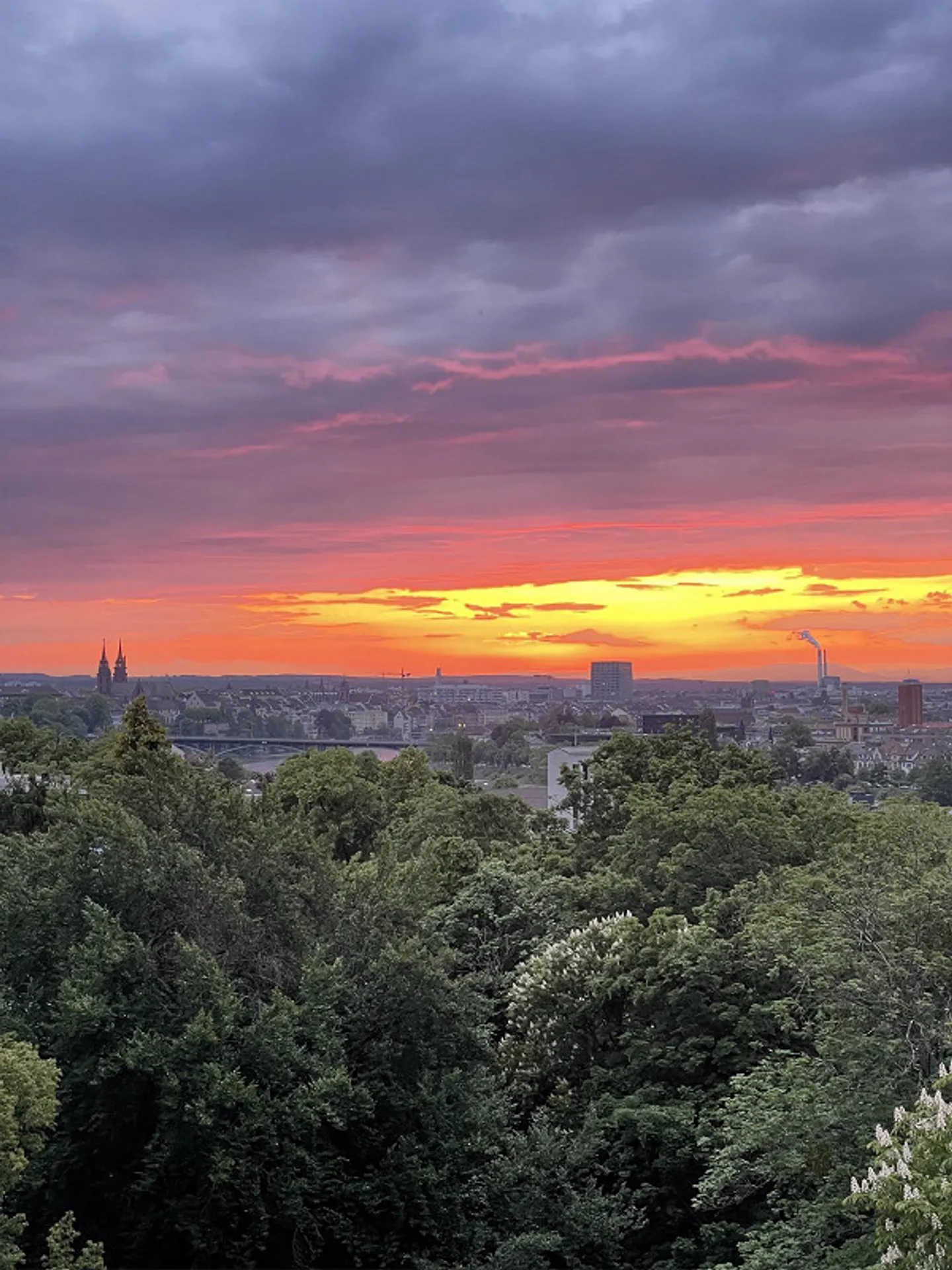 3.5 stanze con vista mozzafiato su Basilea, subaffitto per 6 mesi - Foto 19 di 21