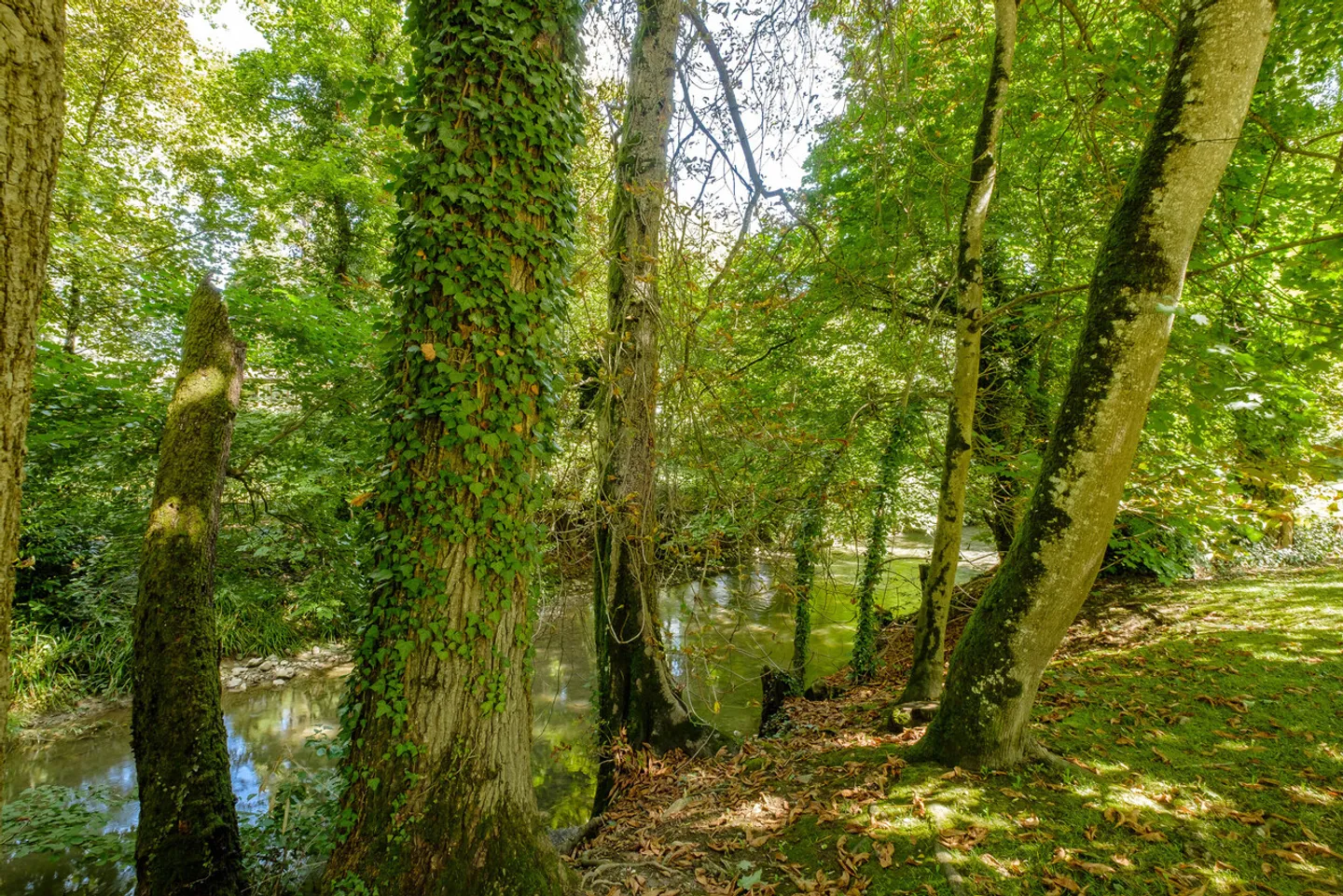 Haus zu renovieren in ländlicher Umgebung in Grand-Lancy - Foto 14 von 15