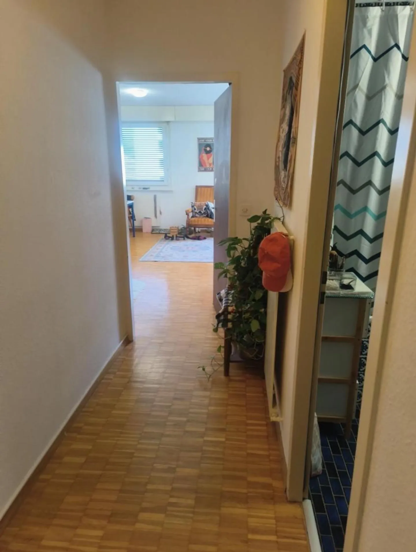 2-room apartment in Servette - Photo 2 of 4