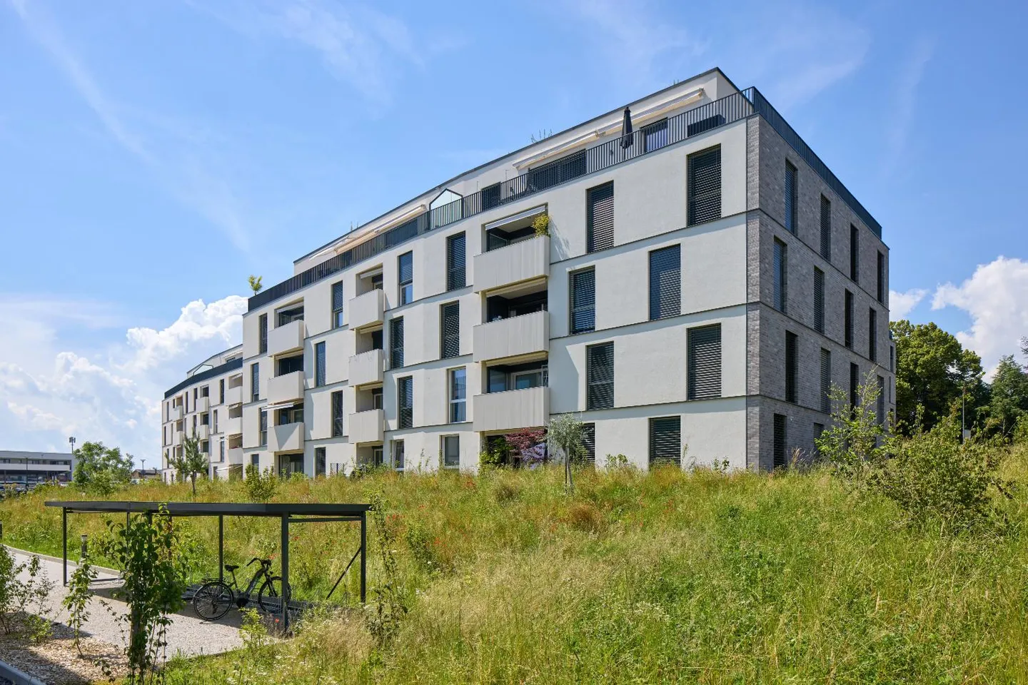 2,5-Zimmer-Wohnung - Foto 2 von 6