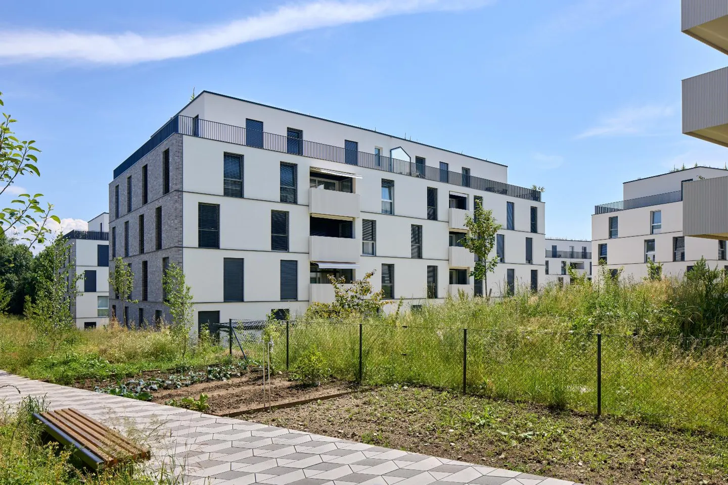 2,5-Zimmer-Wohnung - Foto 6 von 6