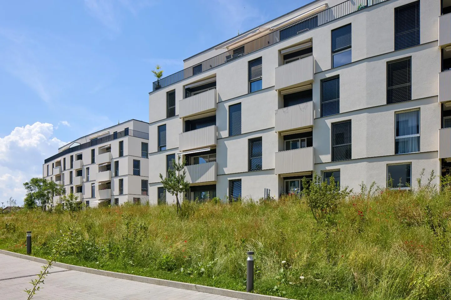 2,5-Zimmer-Wohnung - Foto 3 von 6