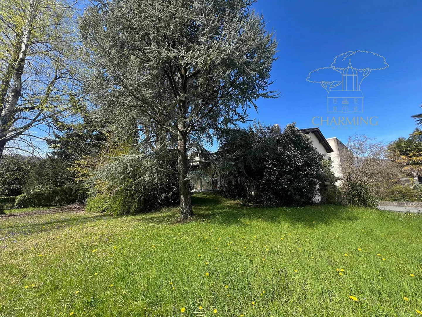 Villa con potenziale edificatorio - Foto 2 di 9