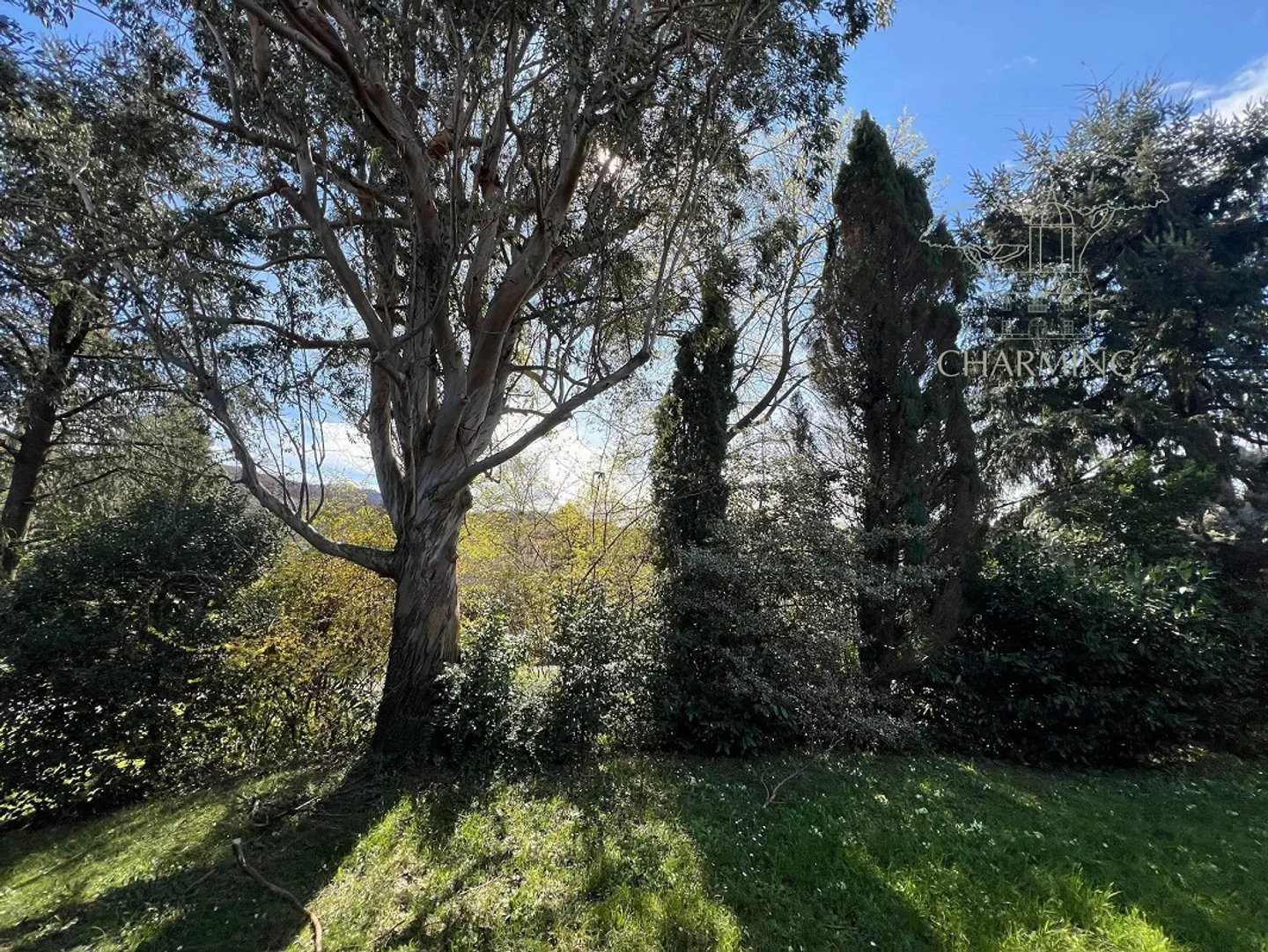 Villa con potenziale edificatorio - Foto 9 di 9