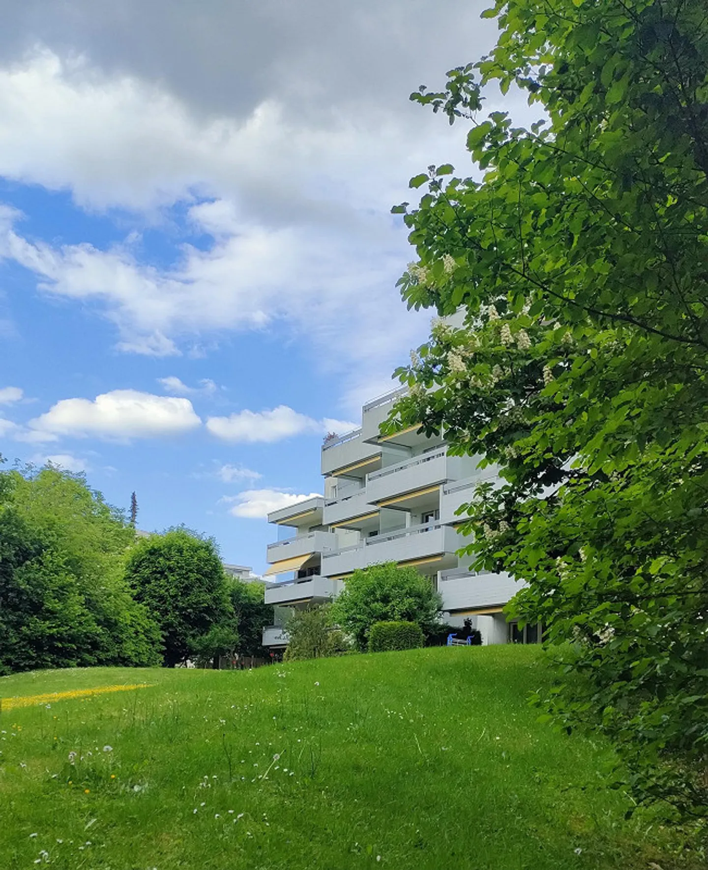 Geräumige 3.5-Zimmerwohnung - Foto 1 von 11