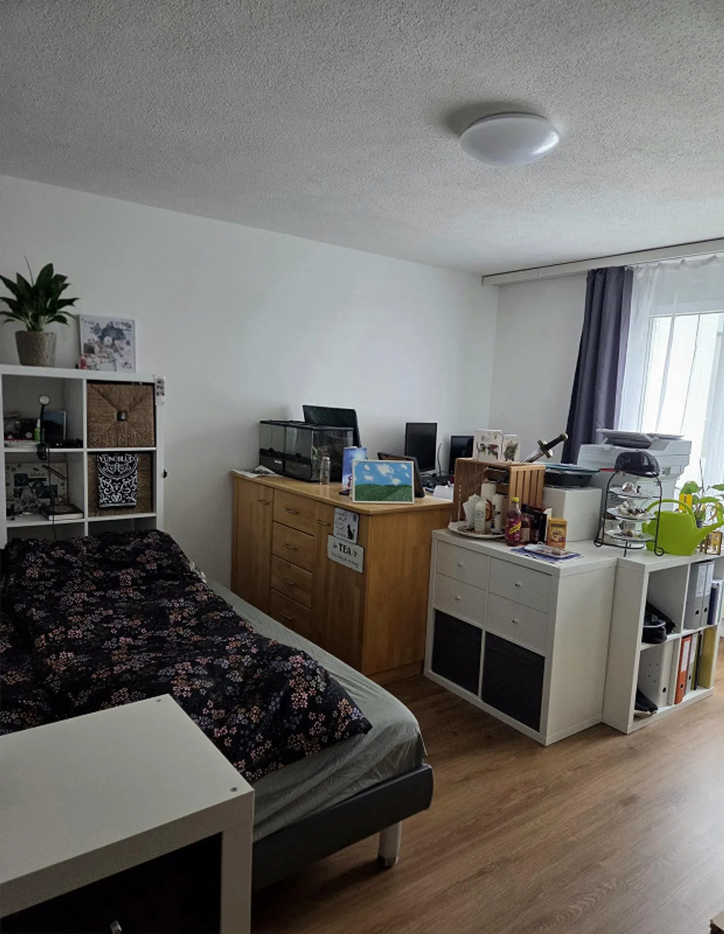 Geräumige 3.5-Zimmerwohnung - Foto 9 von 11