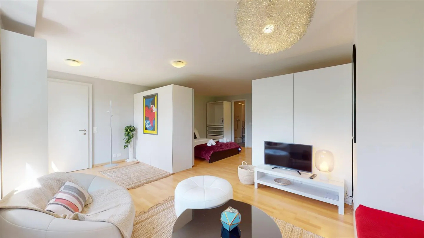 Studio spazioso in un quartiere tranquillo a Sierre - Disponibile tra 3 e 6 mesi - Foto 14 di 21