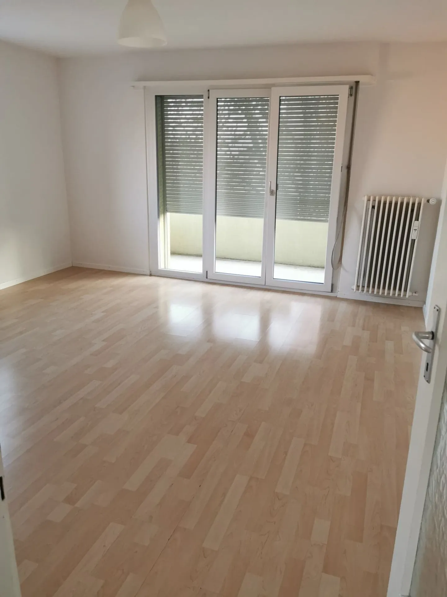 Sunny 4.5-Room Apartment - Photo 2 of 9