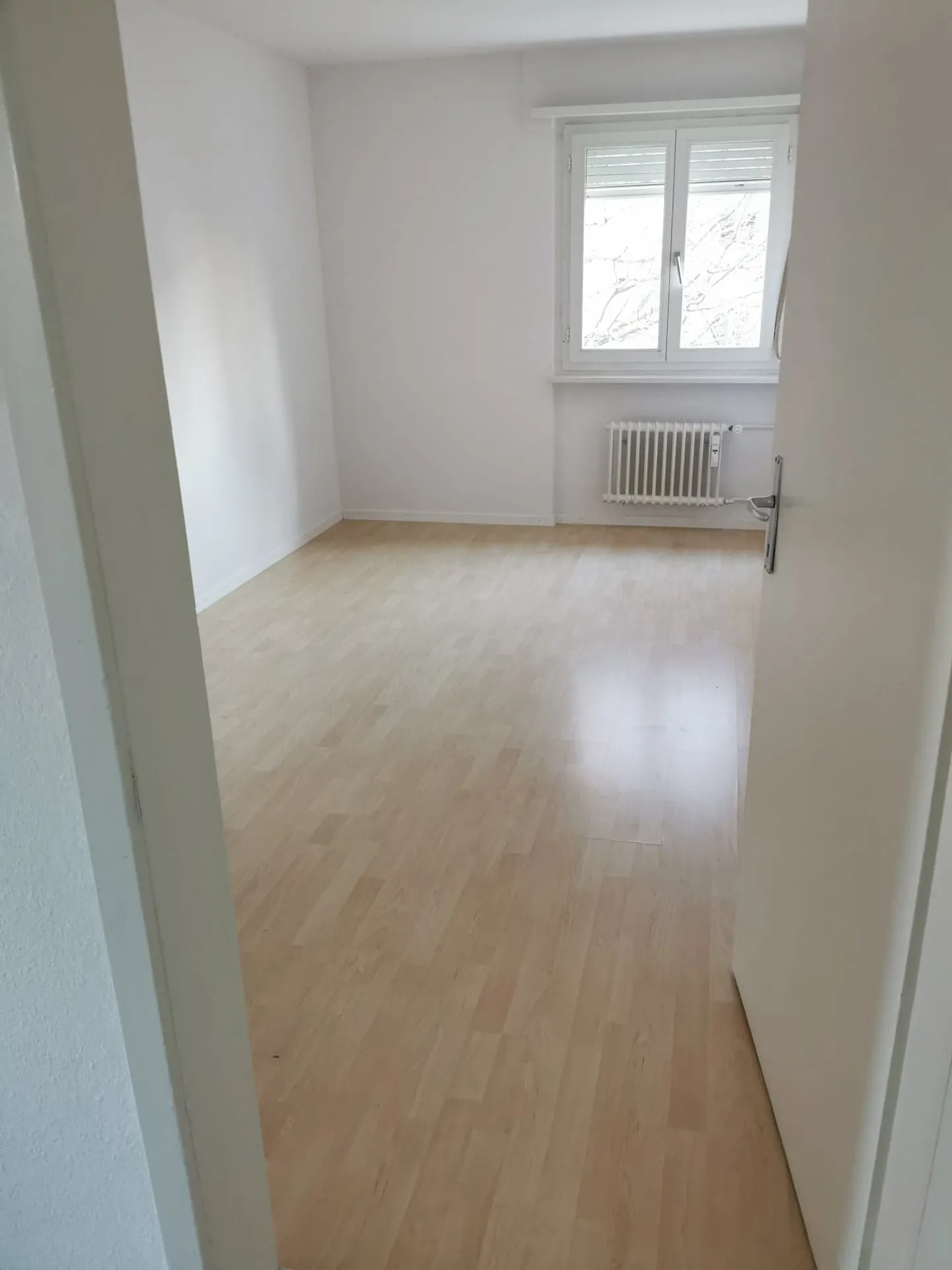 Sunny 4.5-Room Apartment - Photo 3 of 9